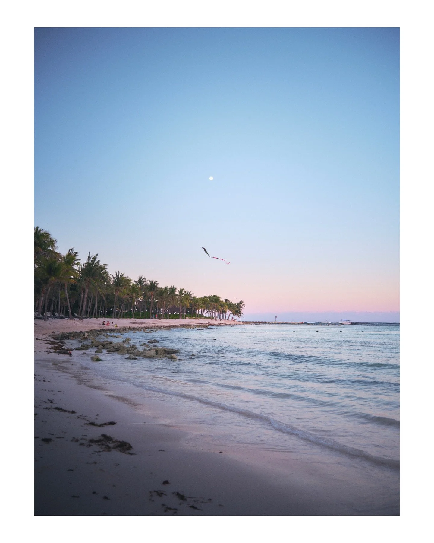 Another day in paradise 🌴

Canc&uacute;n, Mexico
April | 2025
📸 GFX 100s

On these cold winter days, I long to be relaxed on a white sandy beach somewhere across the world sometimes 😊

➡️ DM FOR PRINTS ⬅️
&bull;
&bull;
&bull;
#canc&uacute;n #postc