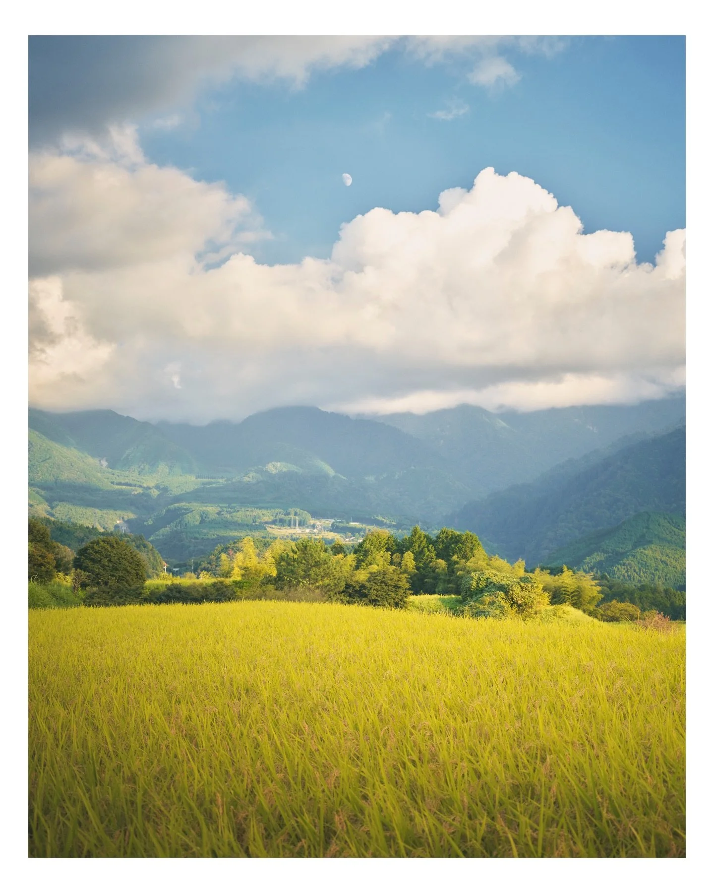 Rice fields under the Moon

Magome-juku, Japan
September | 2024

➡️ PRINT AVAILABLE NOW ⬅️
&bull;
&bull;
&bull;
#magome #japantravel #naganotrip #japanesealps #fujifilm