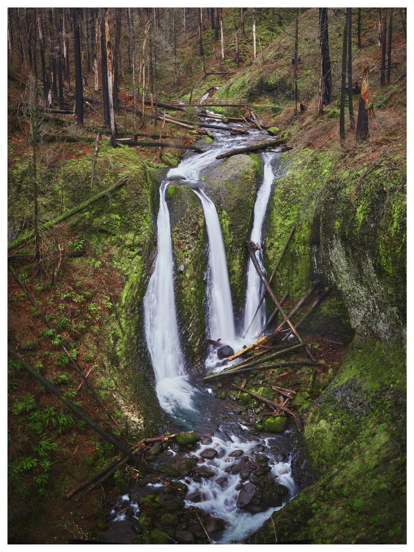 One of my favorites 😊

Triple Falls, Oregon
February | 2025

Triple falls is one of my personal favorite waterfalls in Oregon. Despite the surrounding forest still recovering from the devastating wildfires some years back, the waterfall remains a be