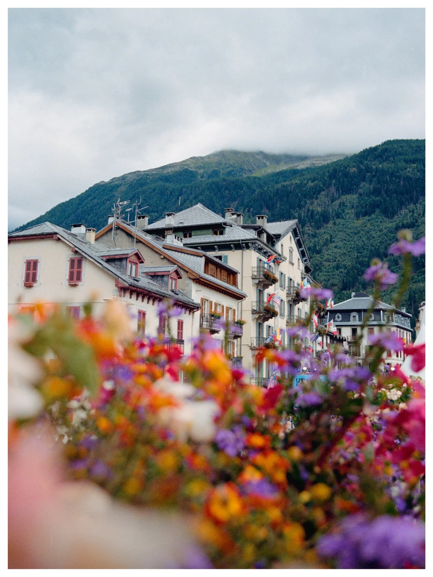 Explorations of the alps on 35mm

Chamonix, France
August | 2025
📷 Canon AE-1 
🎞️ Kodak Portra 400 | Kodak Gold

Some more of my favorite frames from last summer in the French Alps. Something about these mountains just blows me away every time I lo