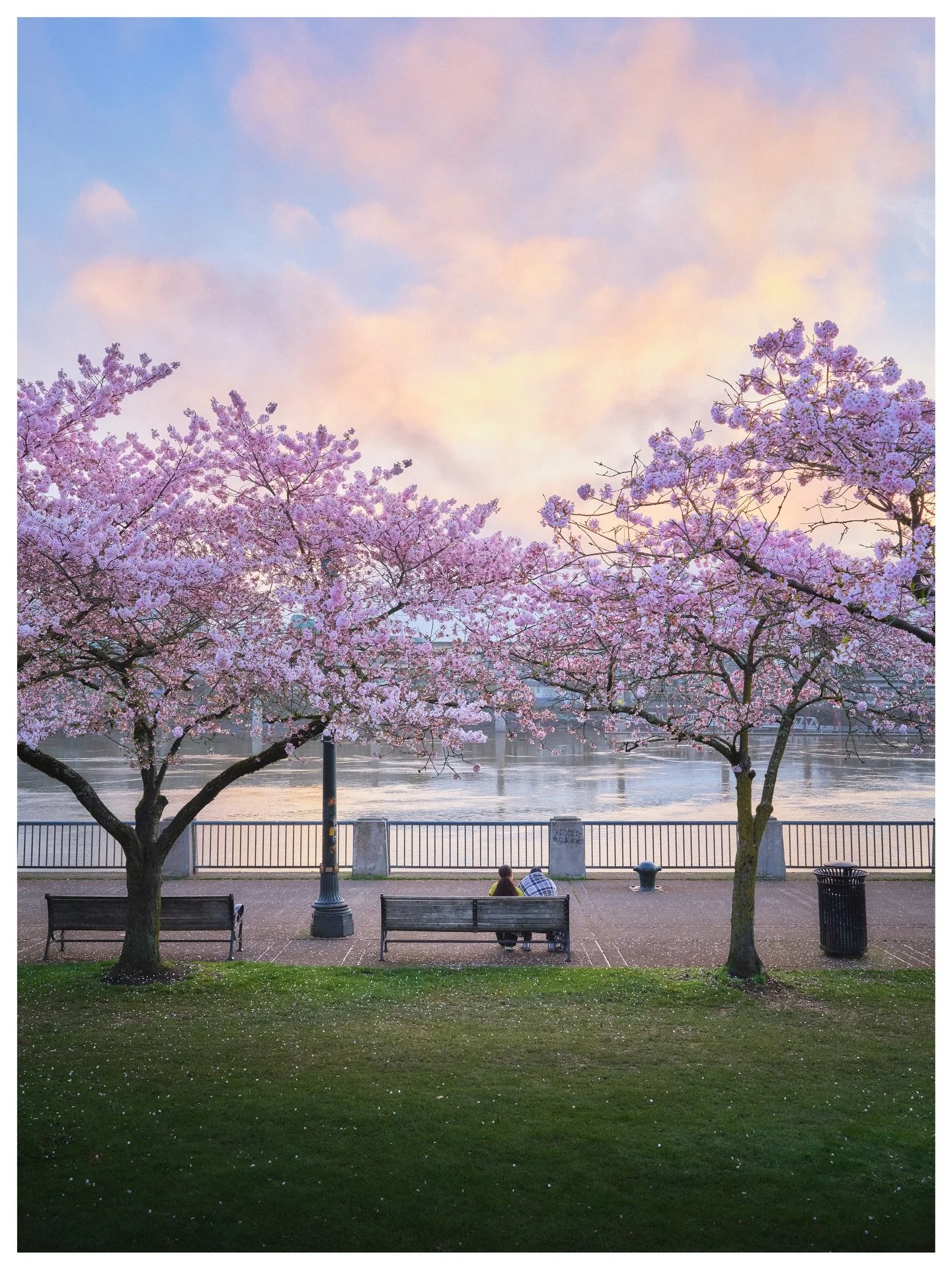 Sakura sunrise in Portland 🌸

Portland, Oregon
March | 2025
📷 GFX 100s

Looking back to one of my favorite PDX sunrises of 2025. The soft, wispy clouds floating over the Willamette River as the sun rises over the city. Cherry blossoms are such an i