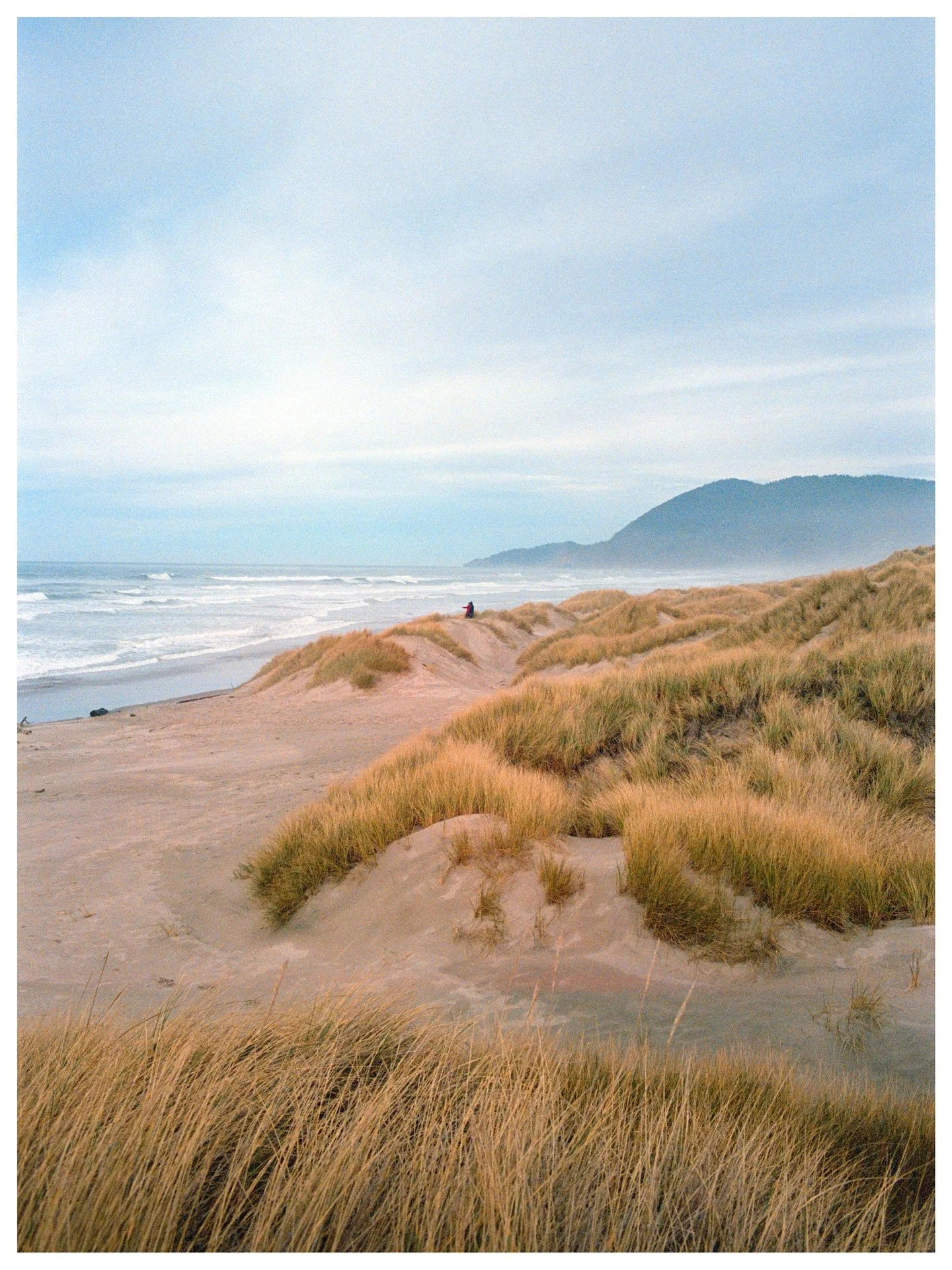 Oregon Coast on 35mm

Manzanita, Oregon
January | 2026
📷 Canon AE-1 
🎞️ Portra 400 

The AE-1 has found its way into my every day kit because of how small it is! I can easily take it anywhere without worrying about carrying a heavy bag around all d