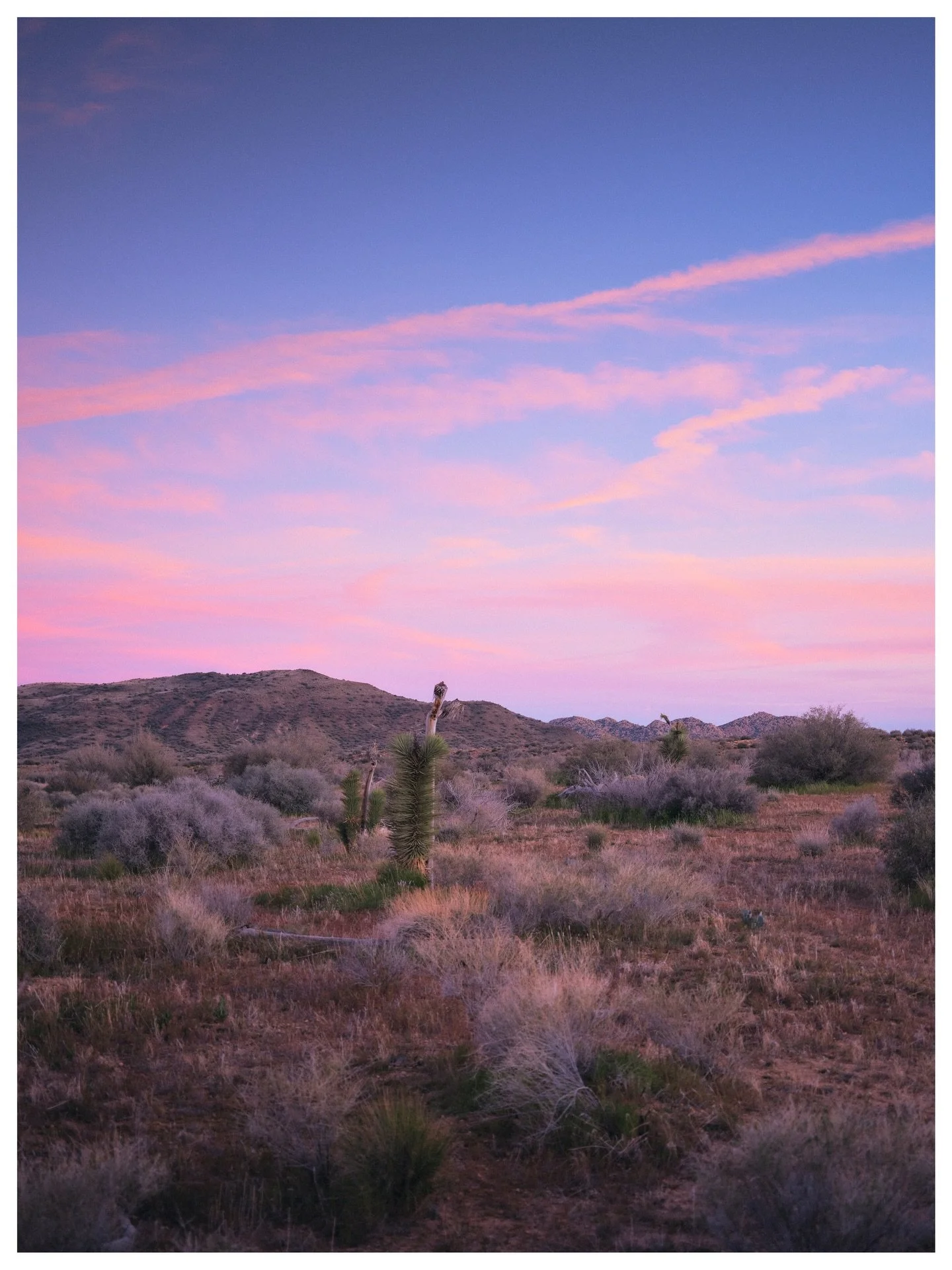 Desert sunsets 🏜️

Joshua Tree, California
February | 2026
📸 GFX 100s

While I was there for work and didnt really get to see much of Joshua Tree, I did get to see one beautiful sunset...and it&rsquo;s hard to complain about that :)