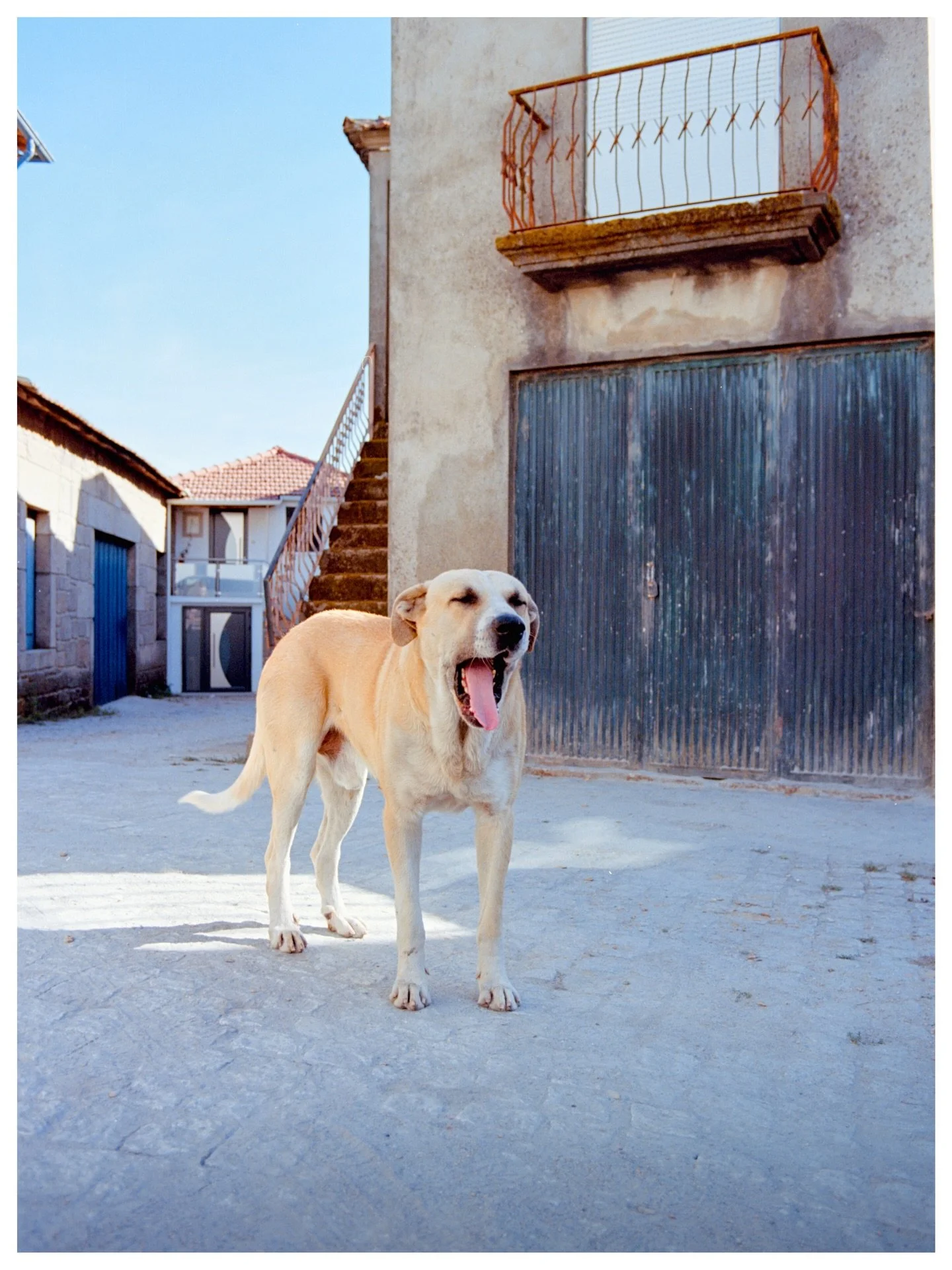 Adventures in Portugal on 35mm

Portugal | 2025
📷 Canon AE-1
🎞️ Ektar 100 | Kodak Gold

Film snaps from across the beautiful country of Portugal. These are images from various cities, including Lisbon, Porto, Nazar&eacute;, Obidos, and Averio. Ever