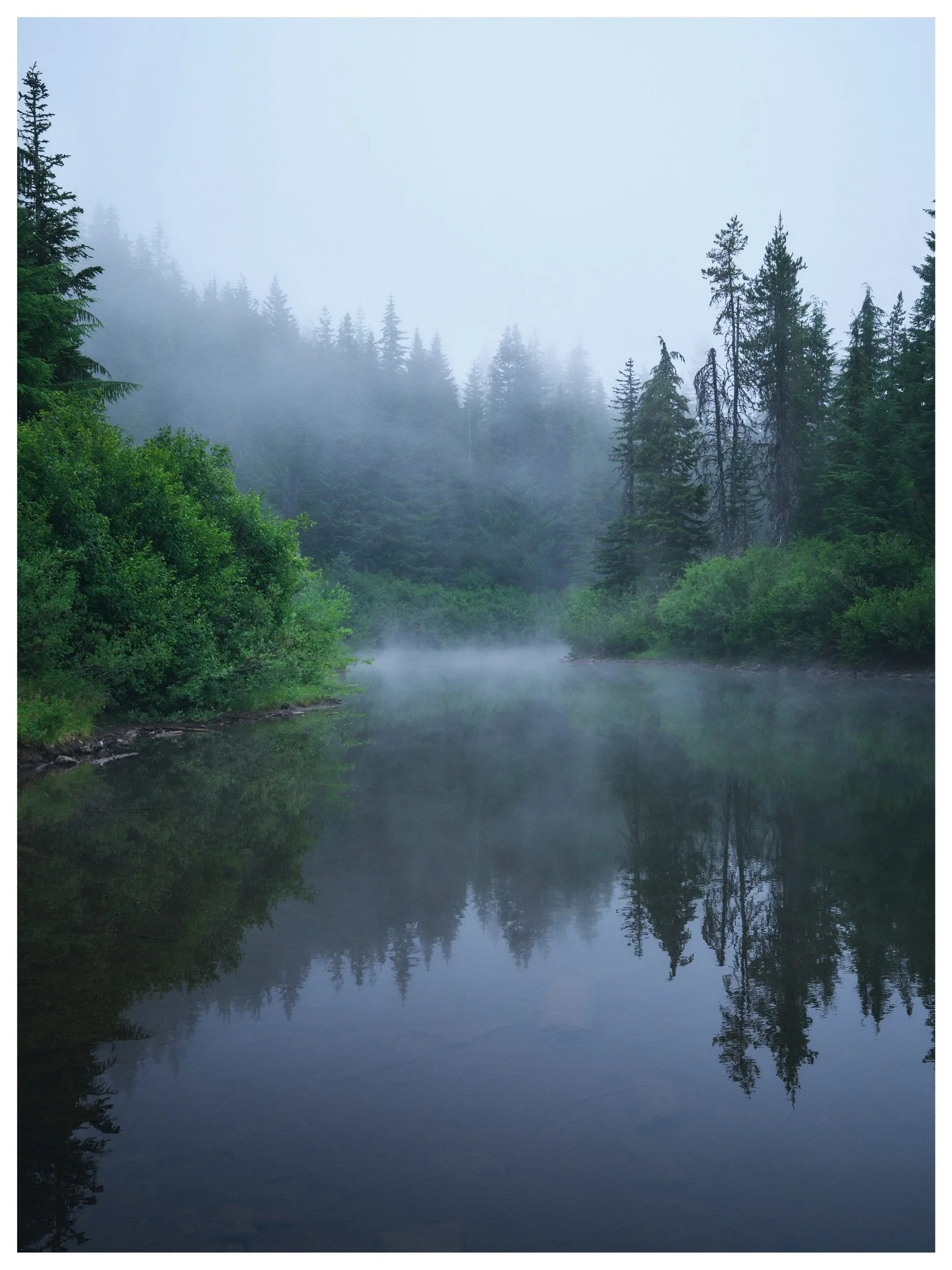 Cast Lake in the foggy morning

Zigzag Mountain Trail, Oregon
August | 2025
📷 GFX100s

A misty morning in the quiet forest of Mount Hood, Oregon.