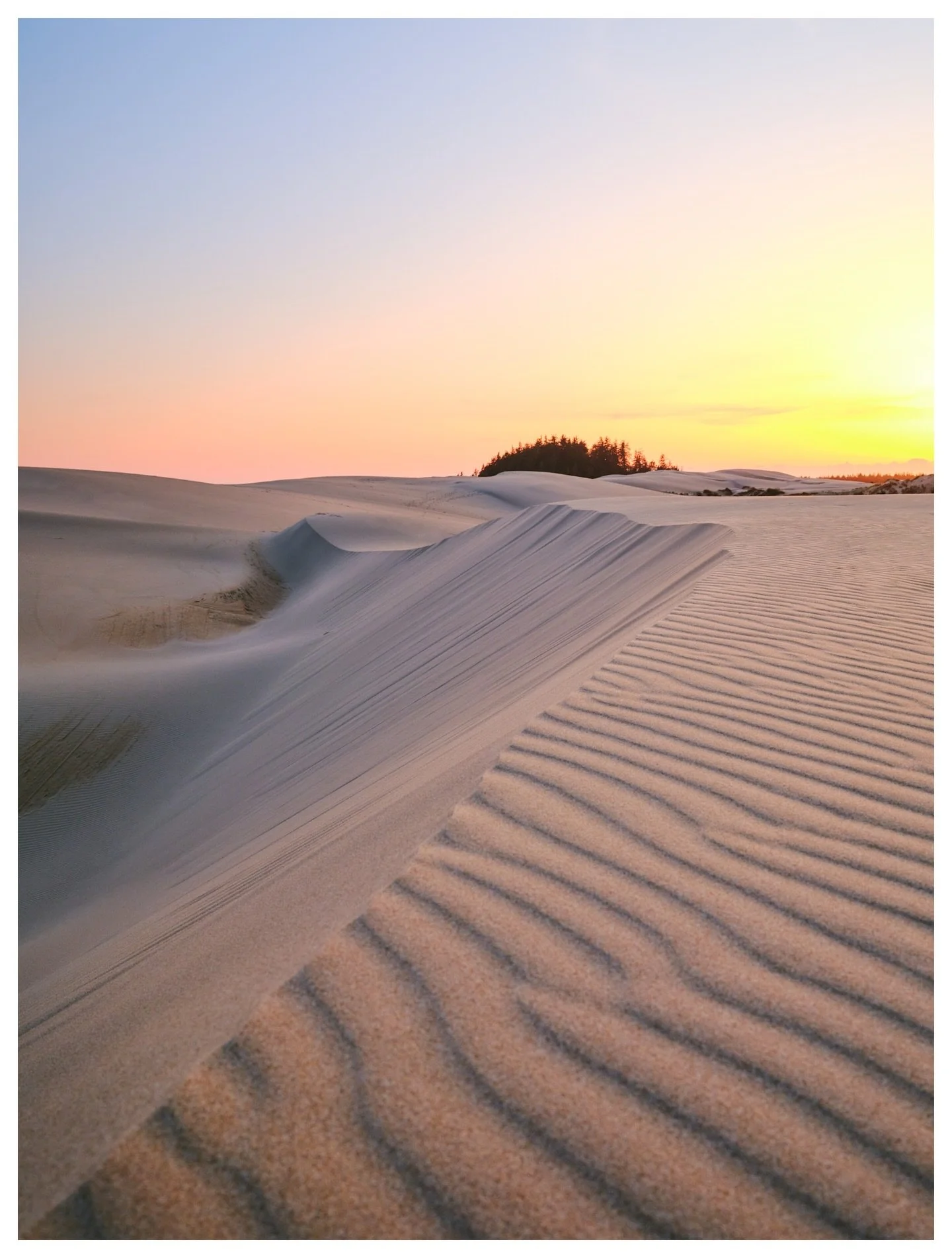 The ever shifting dunes 

Florence, Oregon
May | 2024
📸 GFX 100s