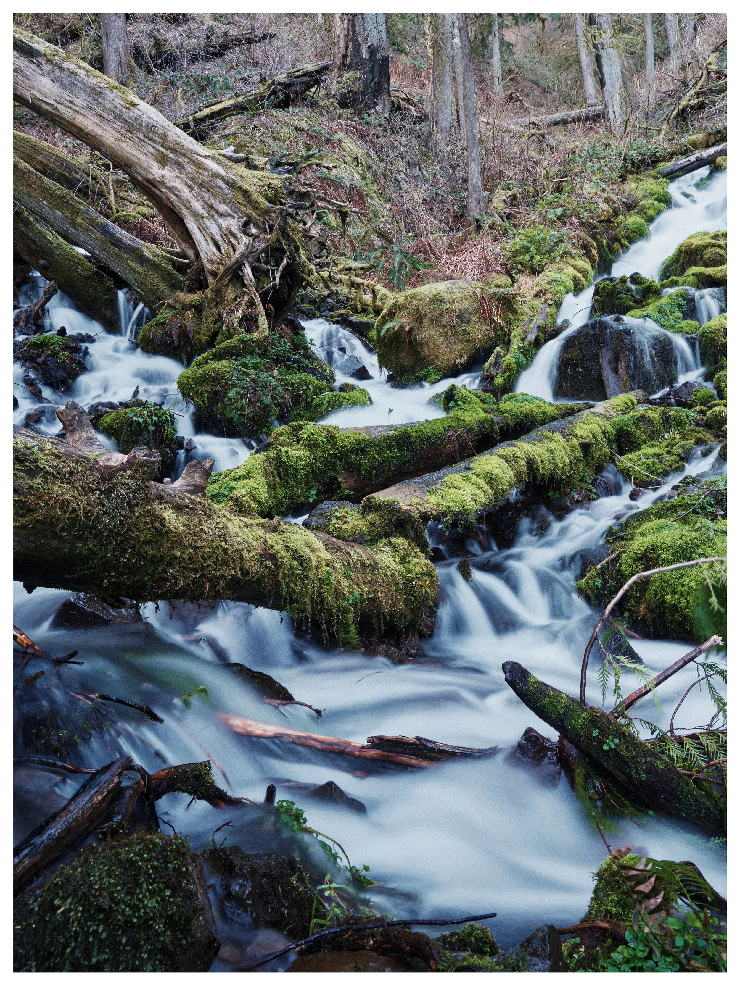 Flow through nature

Columbia River Gorge, Oregon
📸 GFX100s

A single frame that I feel perfectly captures the soft, lush world around us here in the beautiful Pacific Northwest.