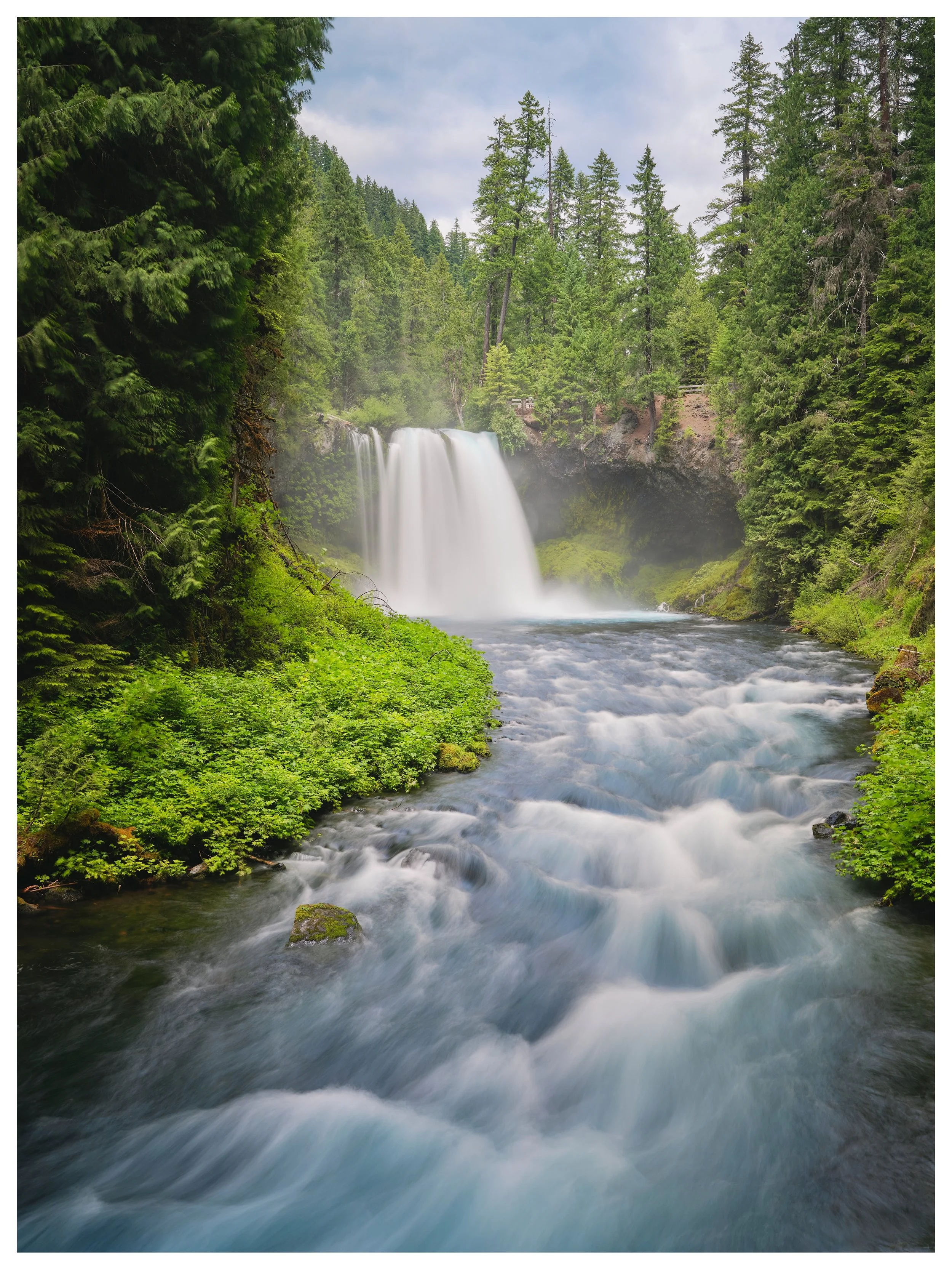 Koosah Falls 

Mckenzie River, Oregon
📸 GFX100s

The stunning blue waters of this river and falls is something else 😍