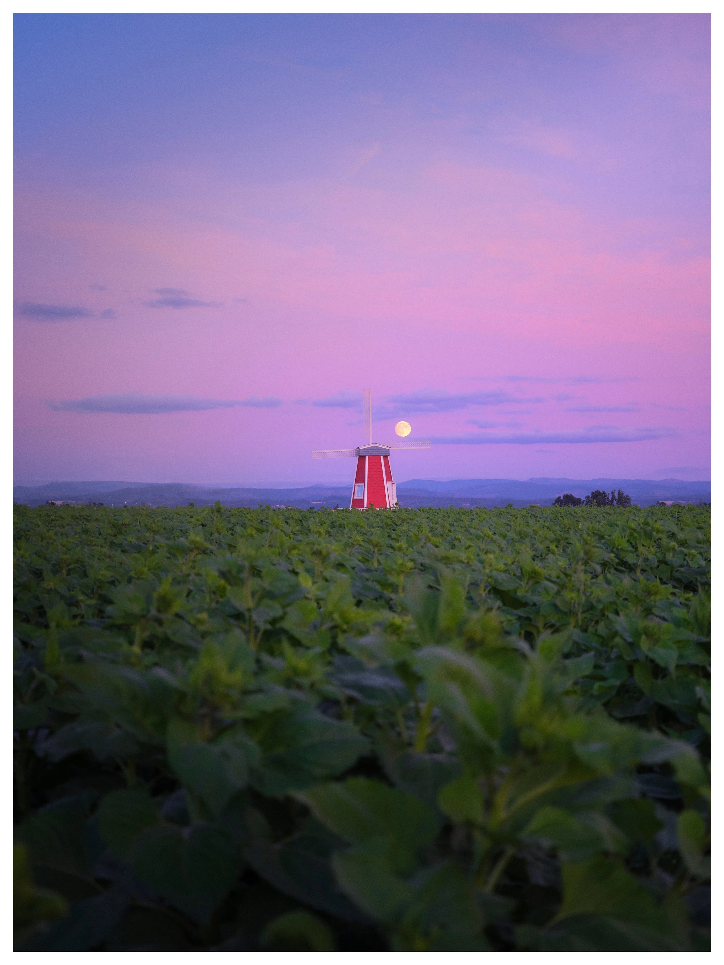 Moonrise over the field 🌕

Woodburn, Oregon
August | 2025
📷 GFX100s

A moment of peace just after dusk in the Oregon countryside. Featuring a crop on the GFX to show much detail is captured in this amazing camera.