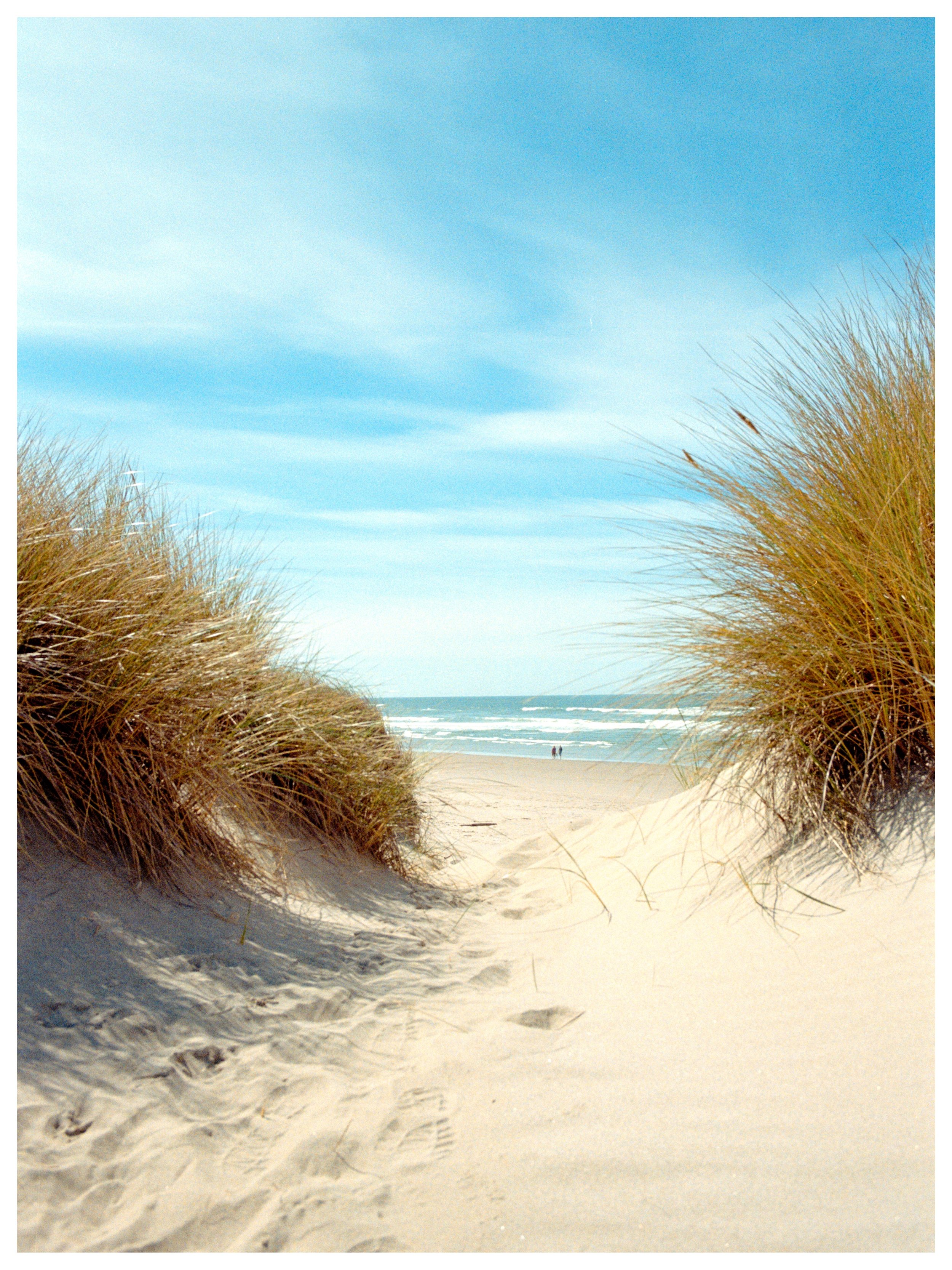 Manzanita on film 😋

Manzanita, Oregon
April | 2026
📷 Canon AE-1
🎞️ Kodak Gold

My favorite coastal town in the PNW. Something about relaxing on the quiet beaches of Manzanita is unlike any other place on the coast