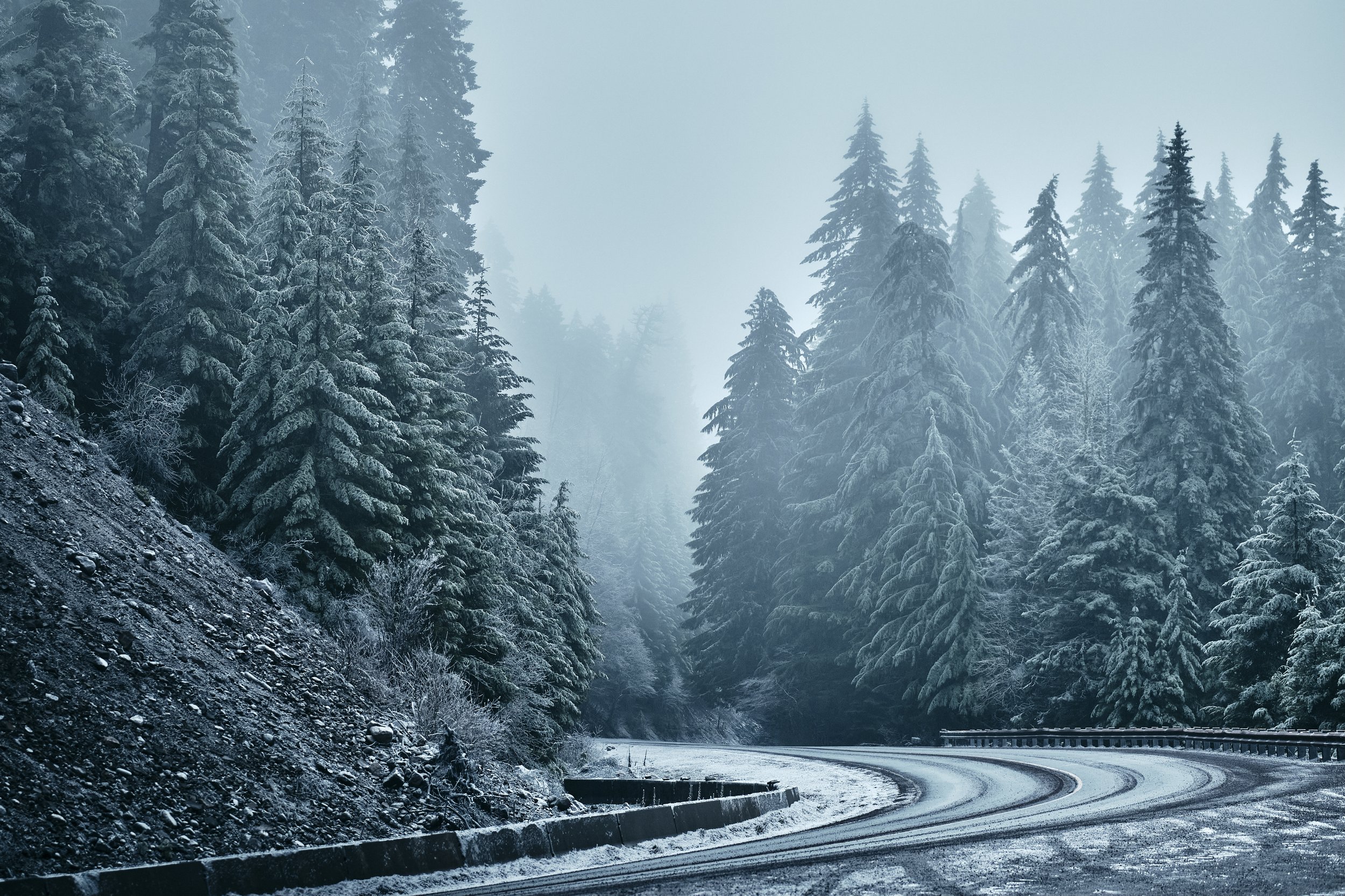 Foggy-Trees-Road.jpg