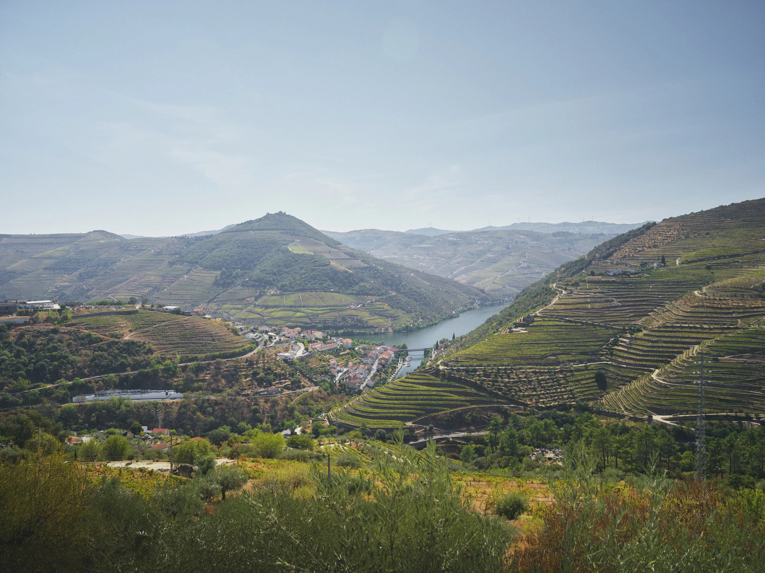 Douro Valley, Portugal