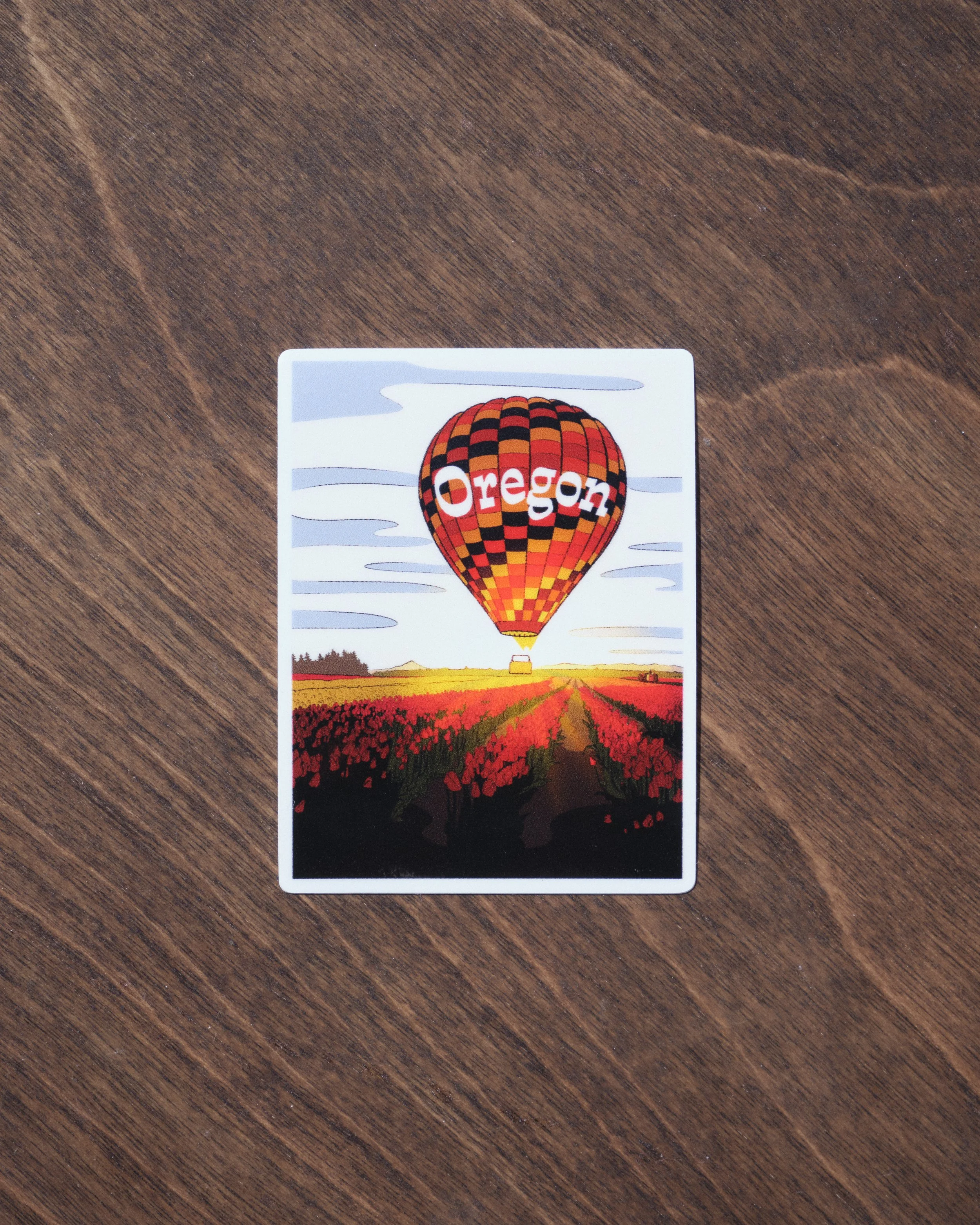 Hot Air Balloon