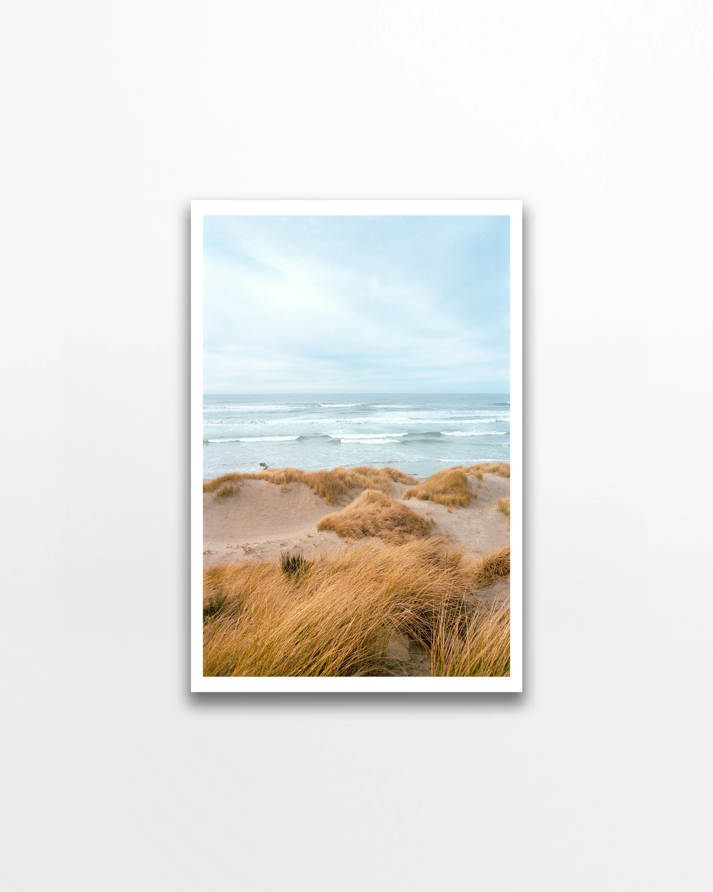 Manzanita_Portra-400_2271_50% copy 2.jpg