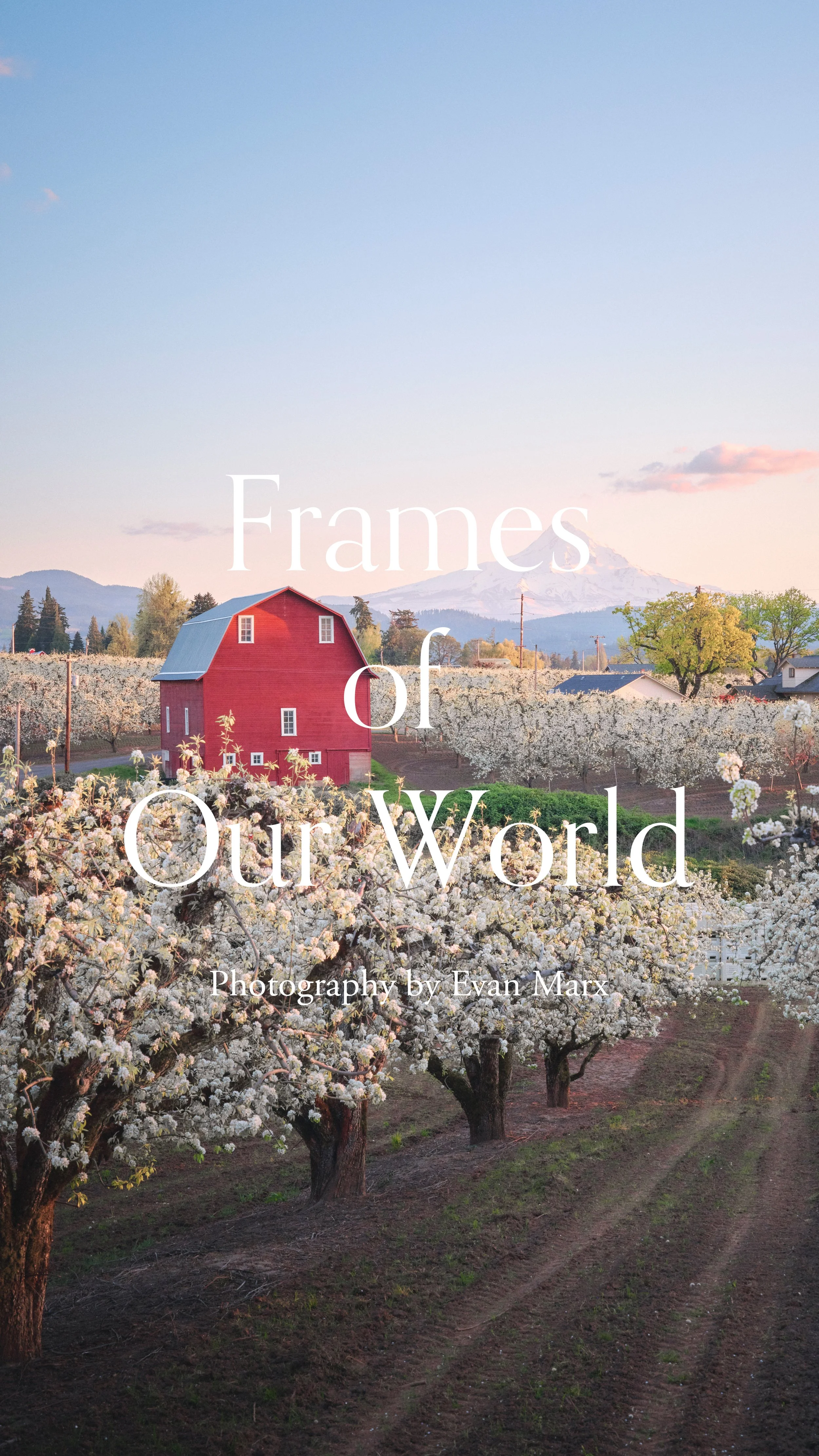 Website Home Vertical-Pear.jpg