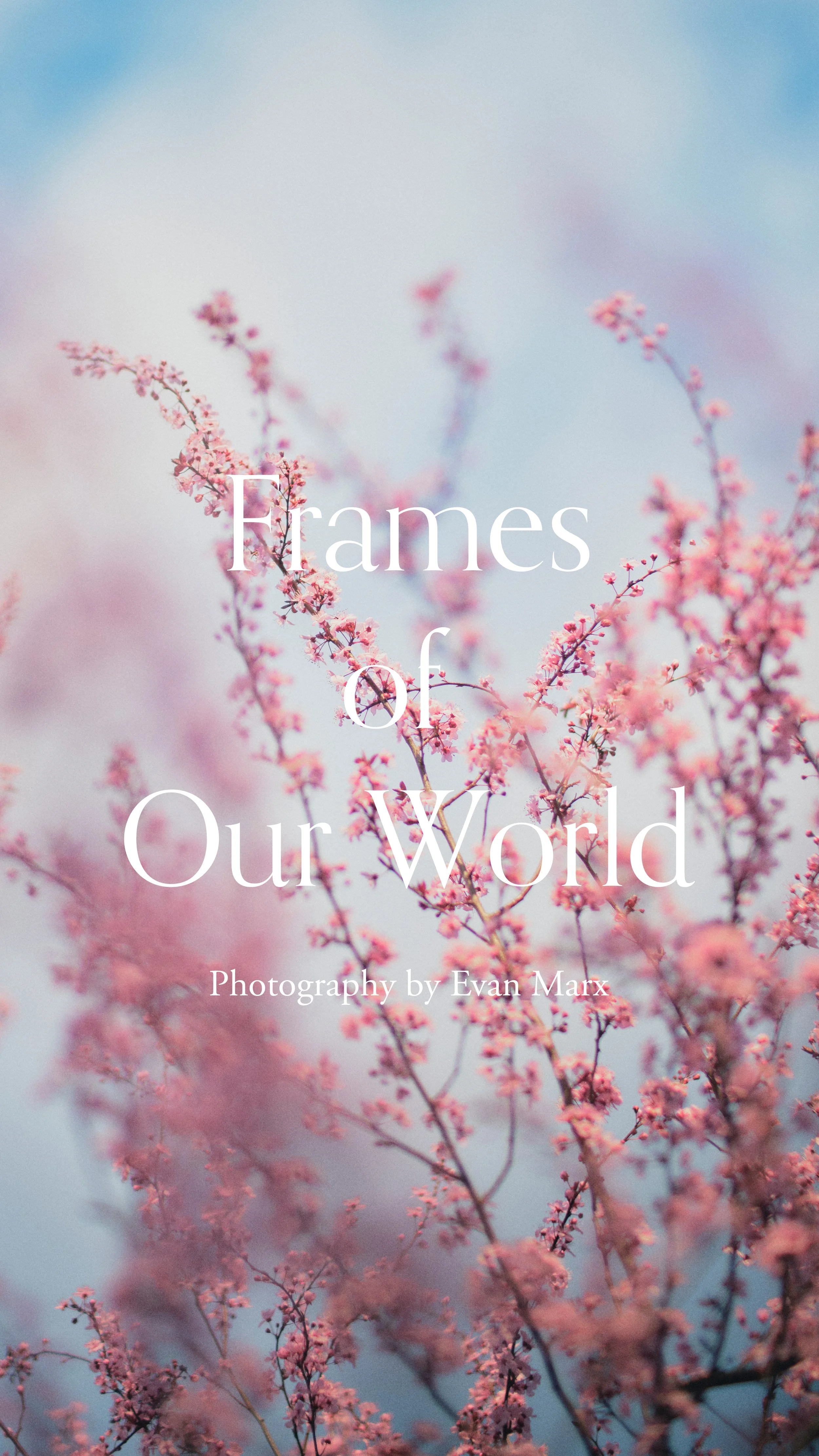 Website Home Vertical-Blossoms.jpg