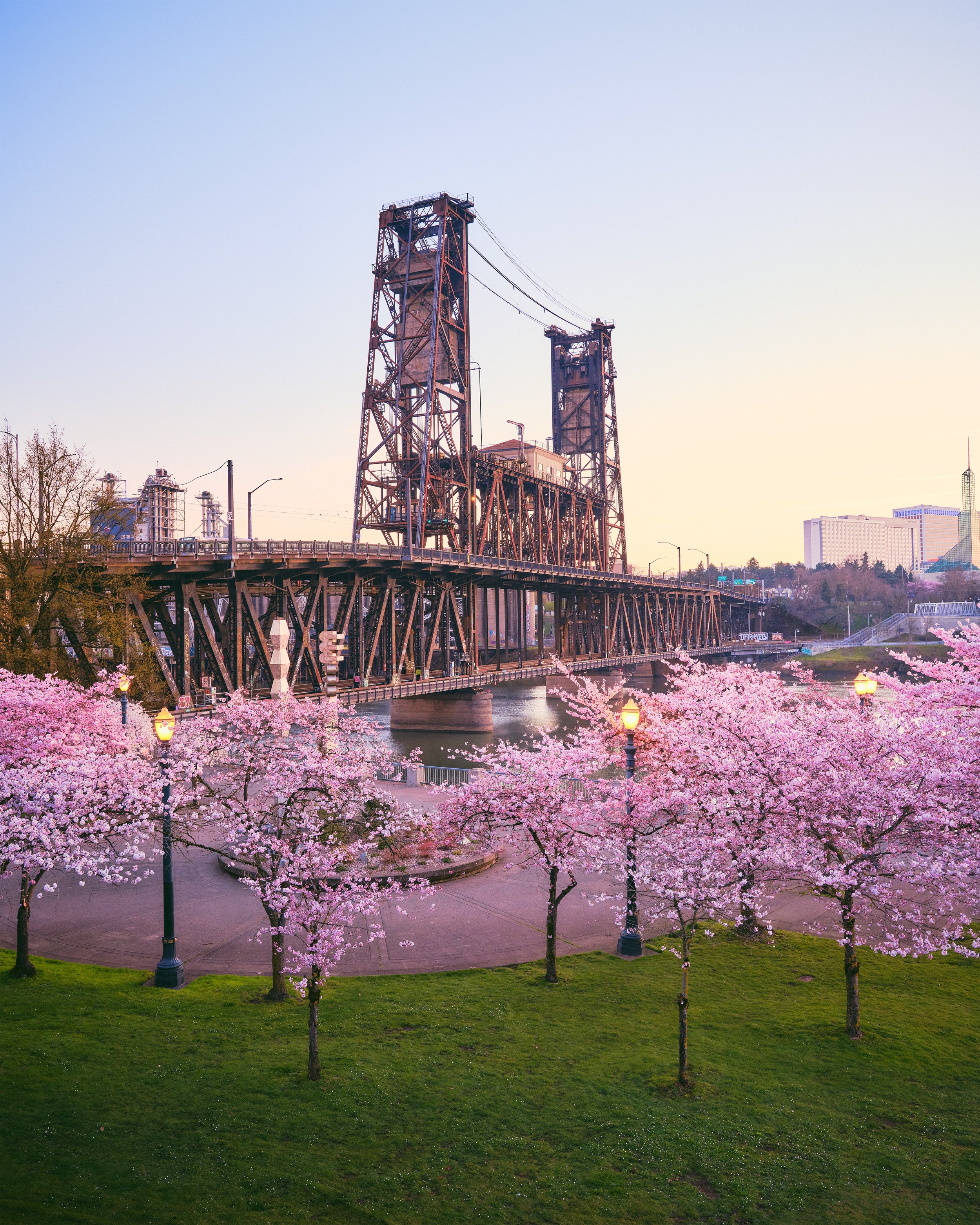 Portland-Blossoms_8593_50%.jpg