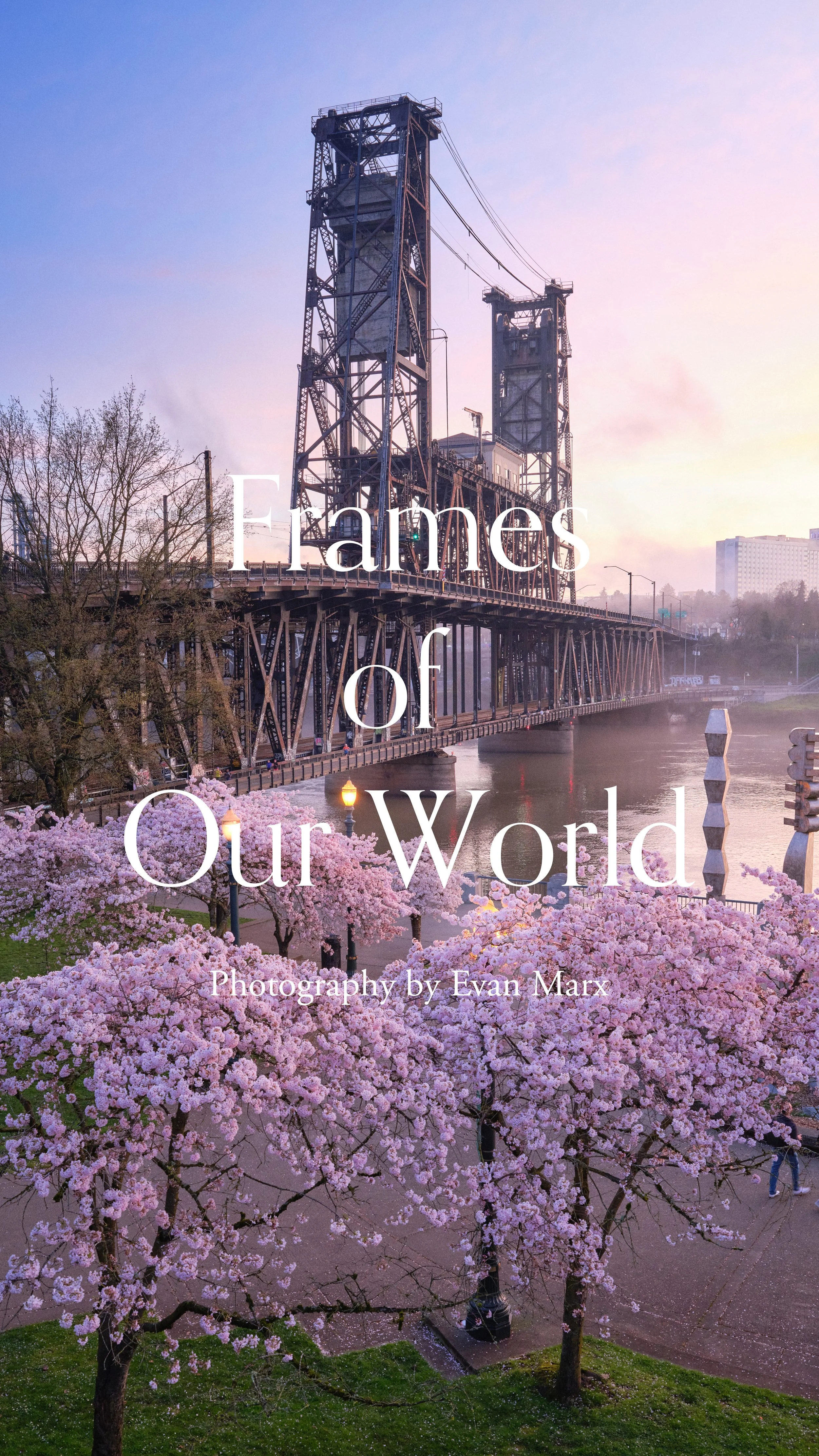 Website Home Vertical-Bridge.jpg