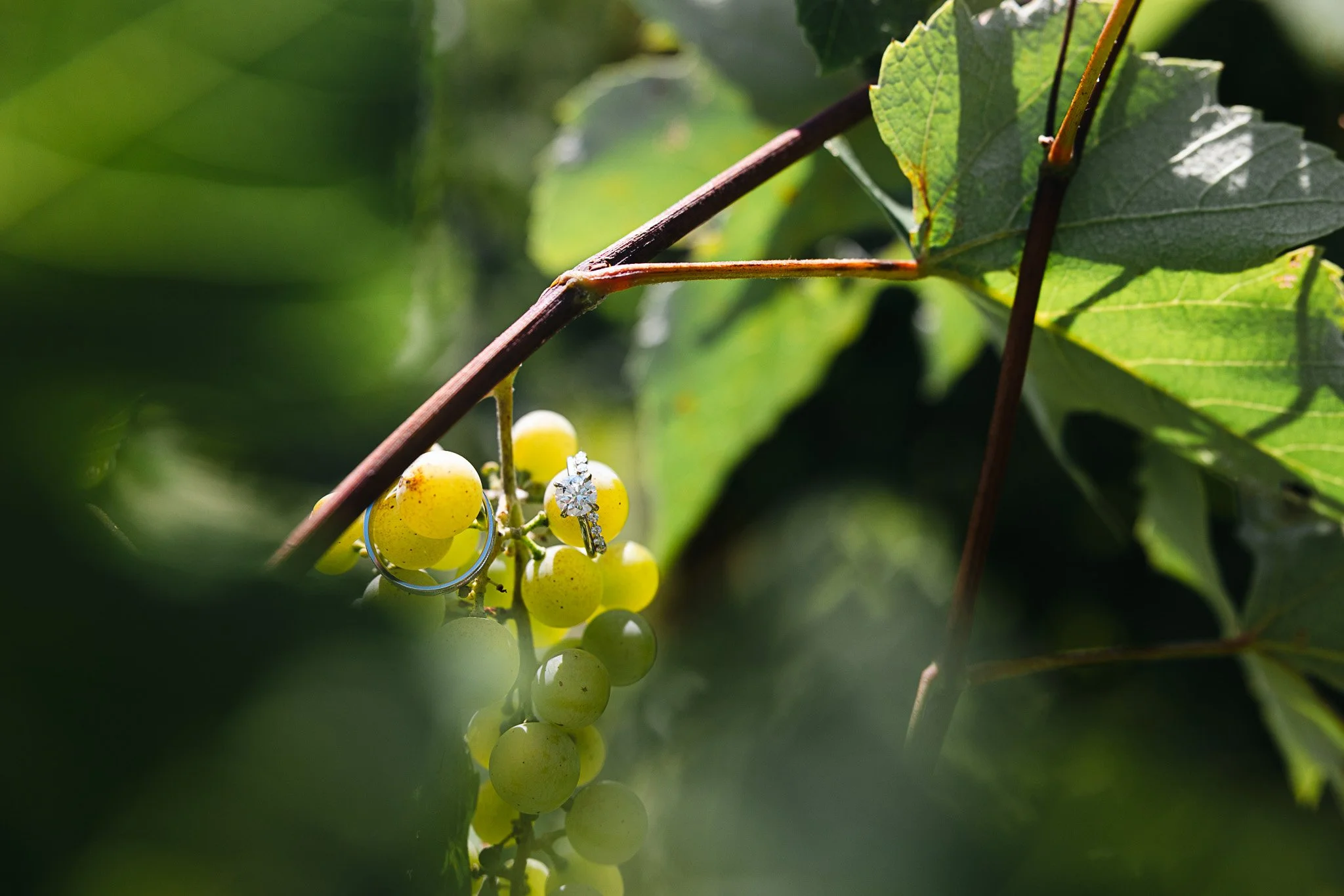 Colorado Wedding Photographer-27.jpg