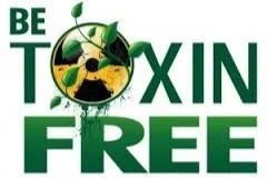 Great Resources By Category For Toxic-Free, Green Products & Living