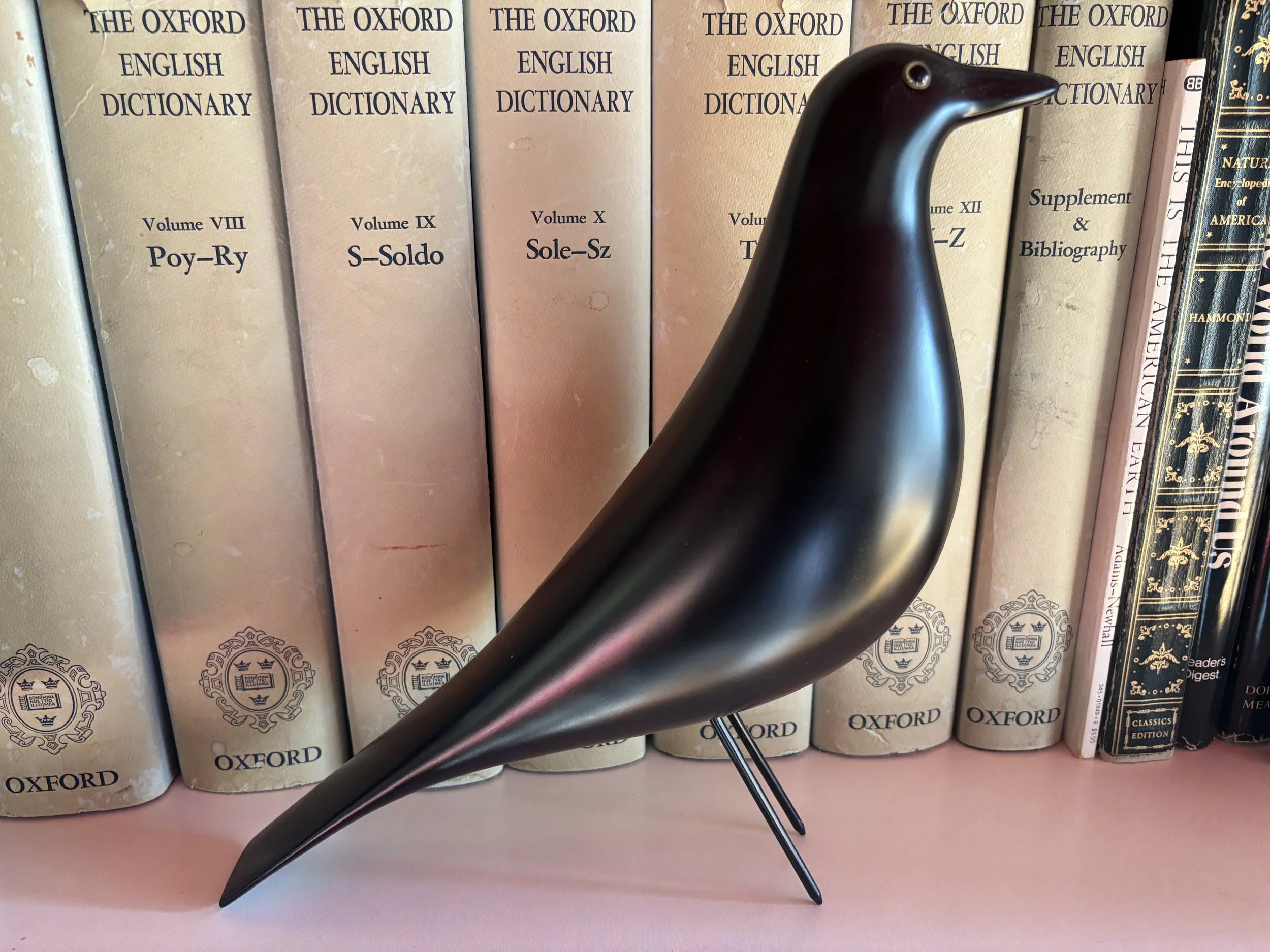 Caw! Caw! Caw! A Blackbird, a Birthday, and a Bit of Synchronicity