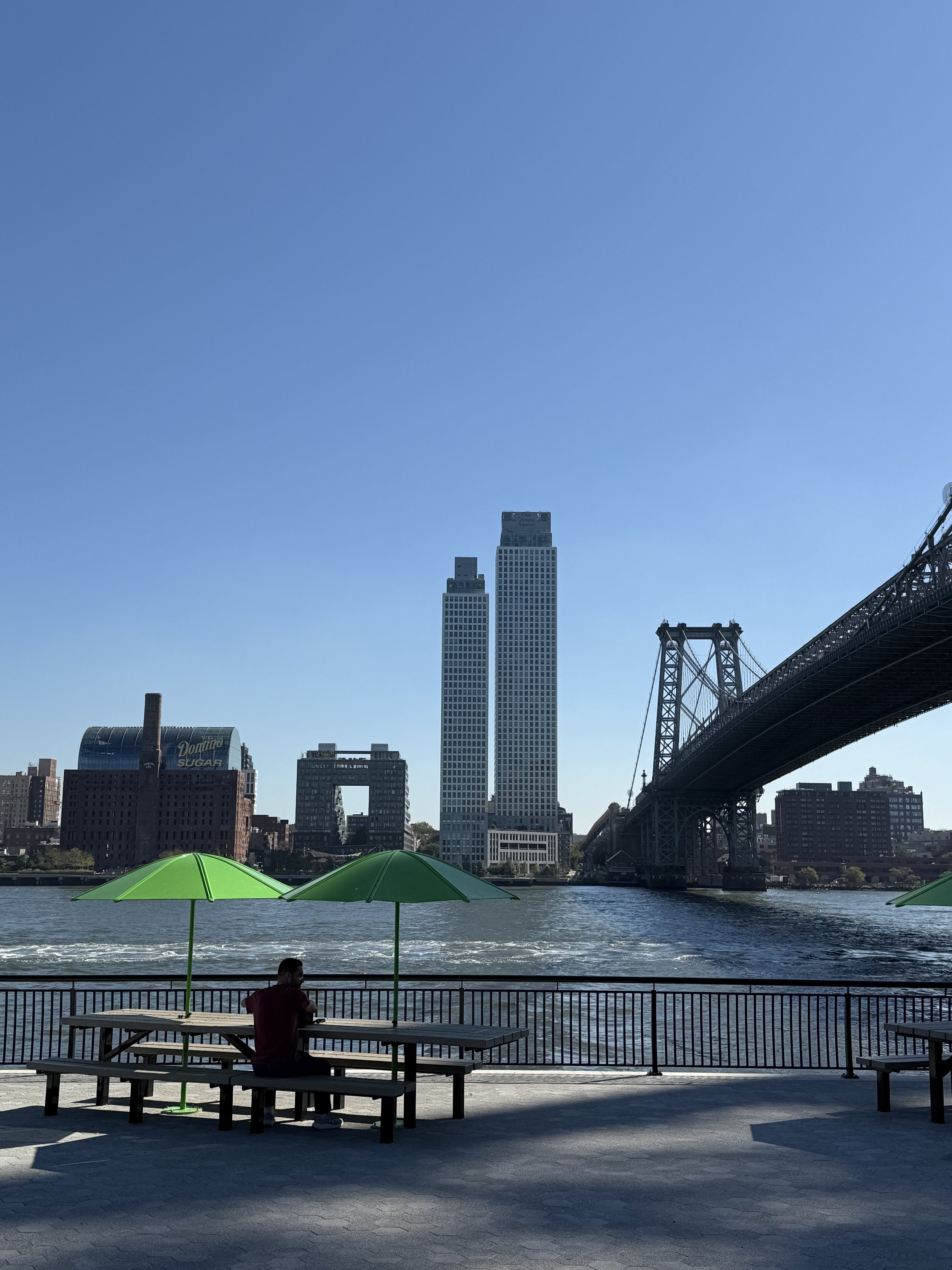 Volunteering with the LES Ecology Center at East River Park