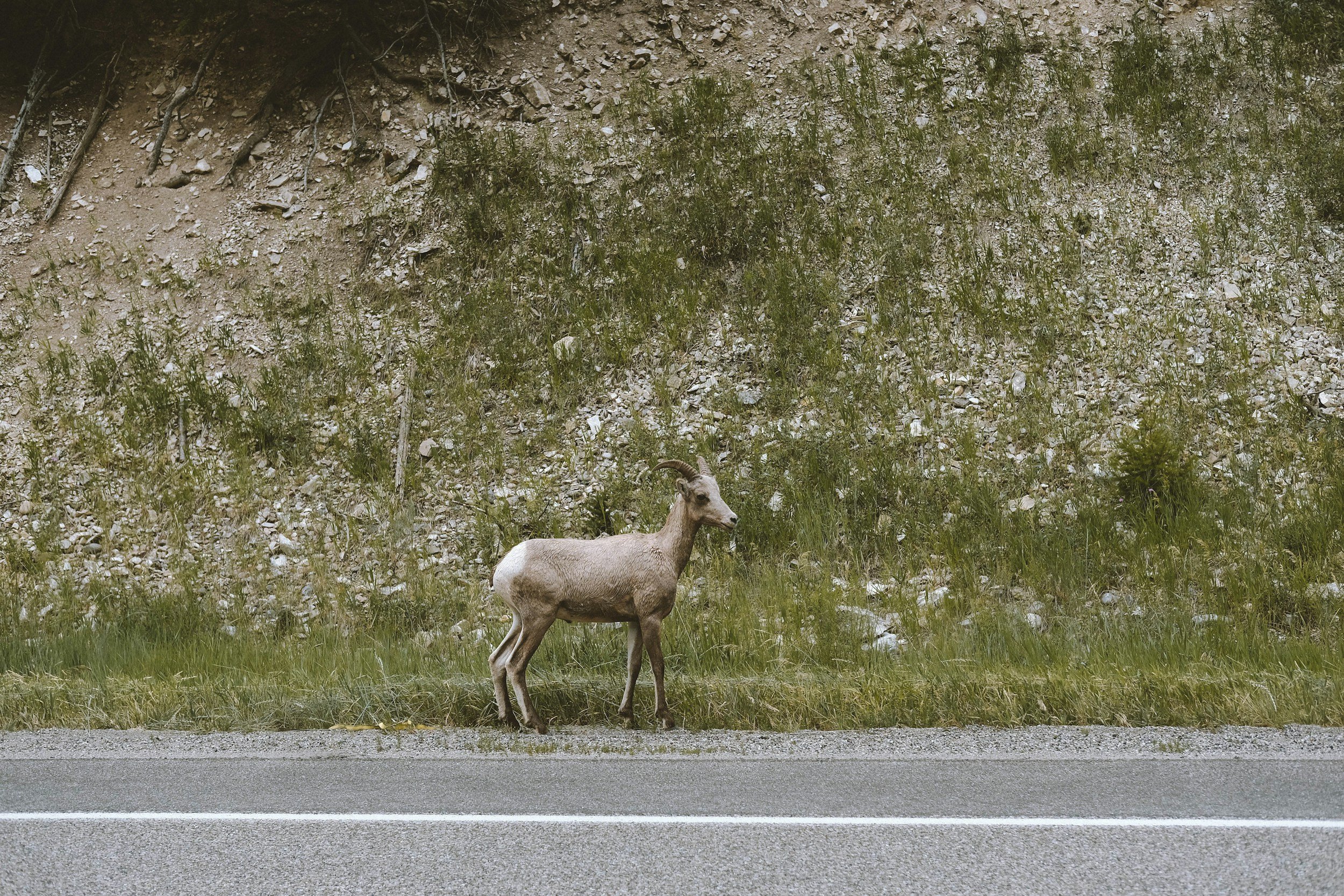 Sustainability Weekly