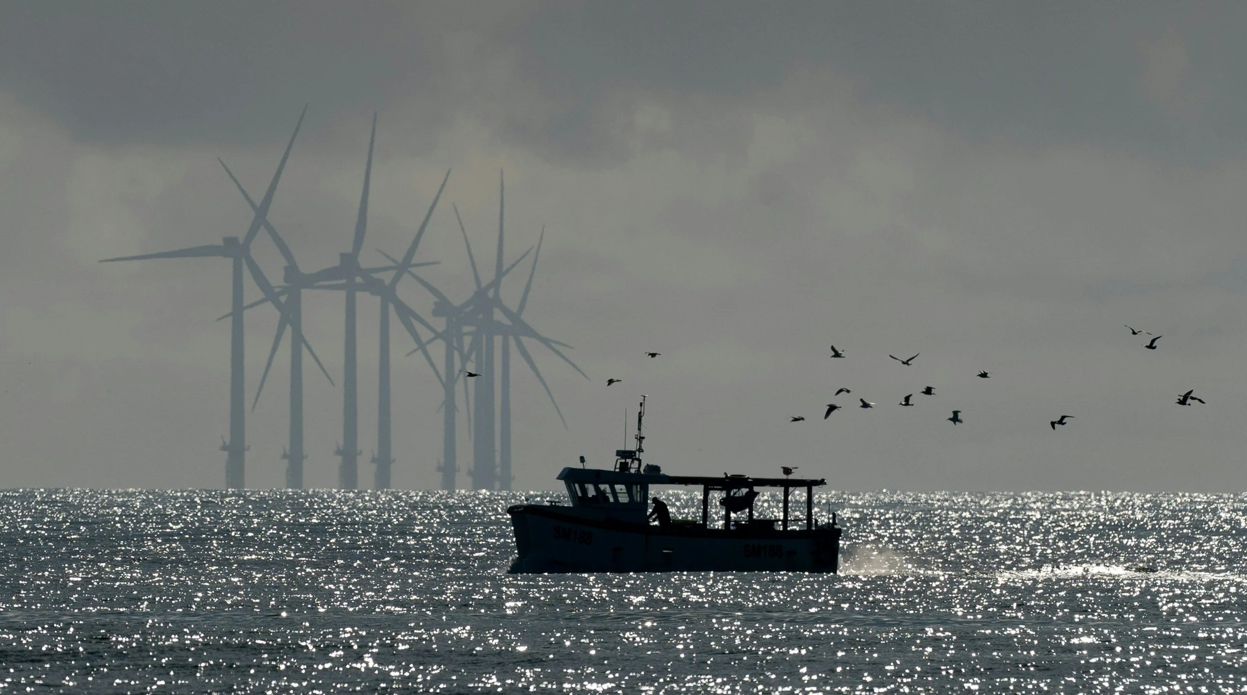 Sustainability Weekly