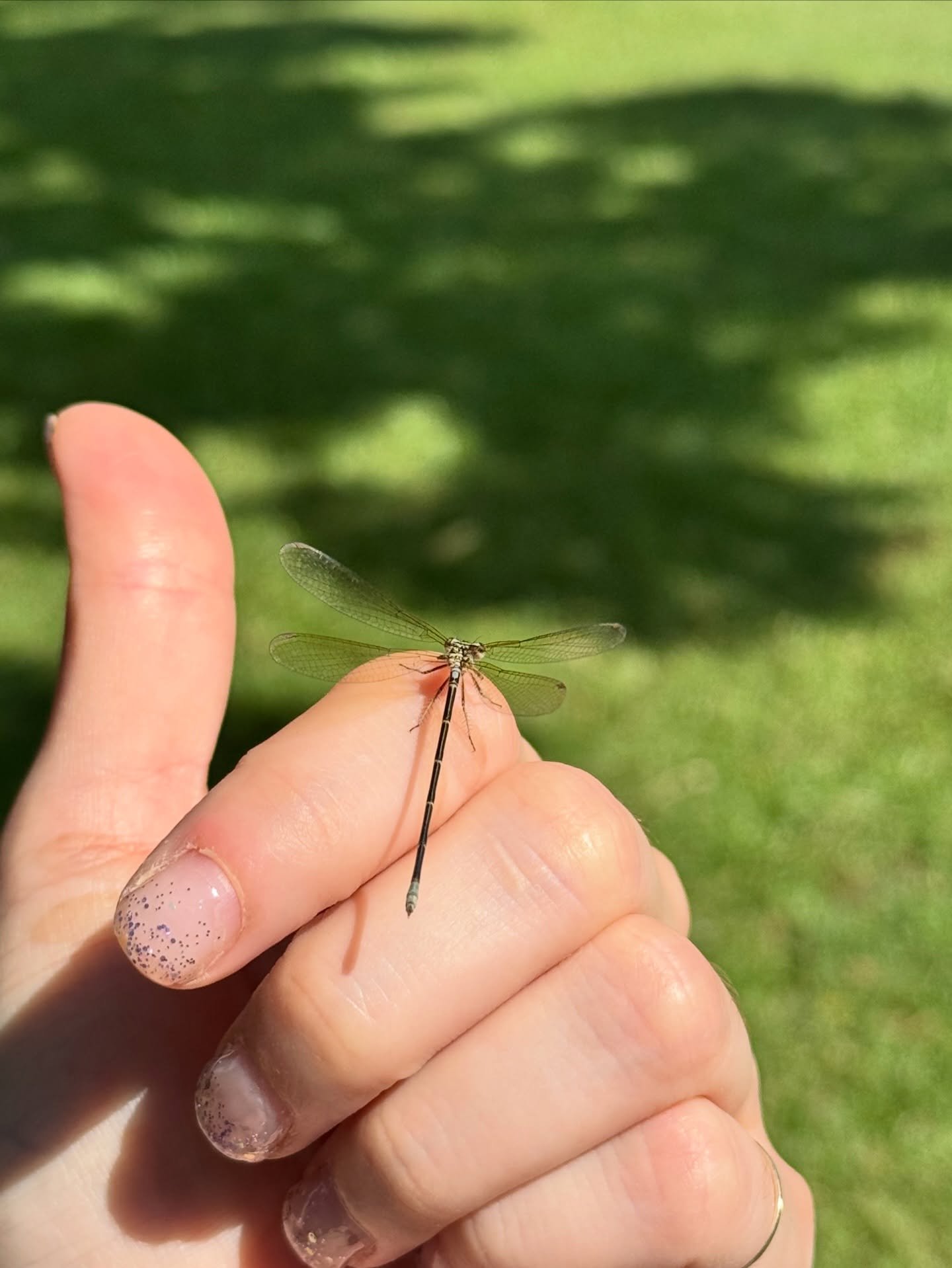 Caminar es escribir, convivir con las plantas y sus peque&ntilde;os habitantes es aprender su idioma 🍃🕸️
#ImJellO