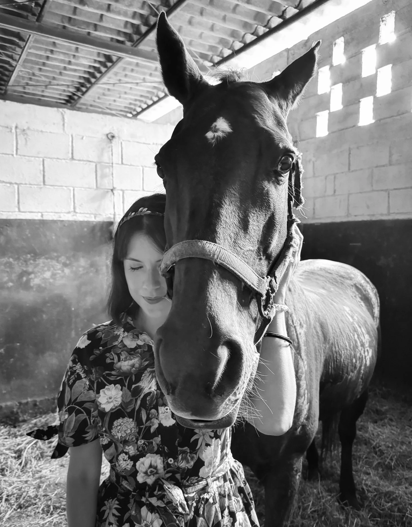 Una Sirena para celebrar el a&ntilde;o del caballo
#ImJellO

#eressirena