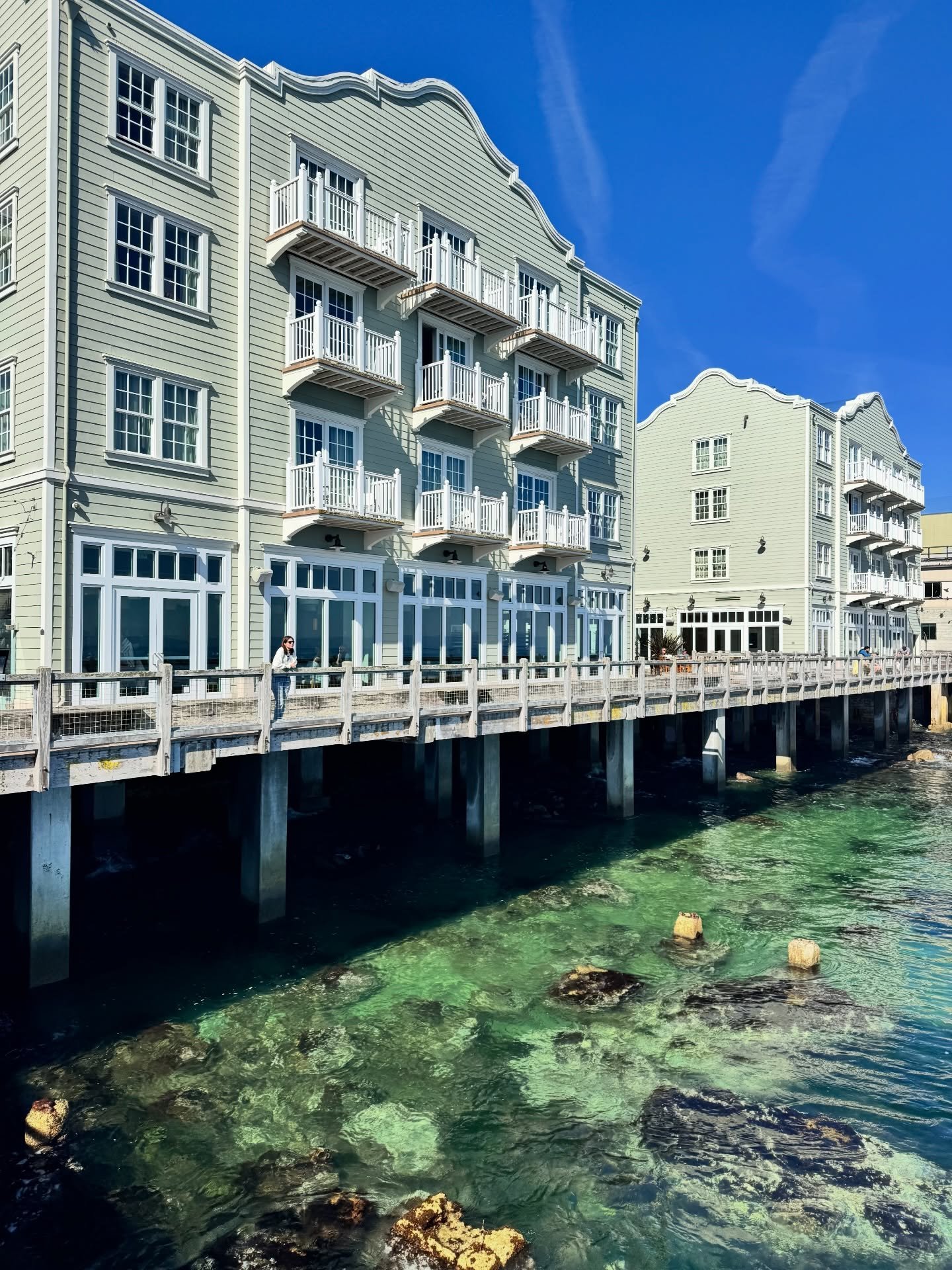 Quiero reencarnar en nutria 🦦 
#ImJellO

#california