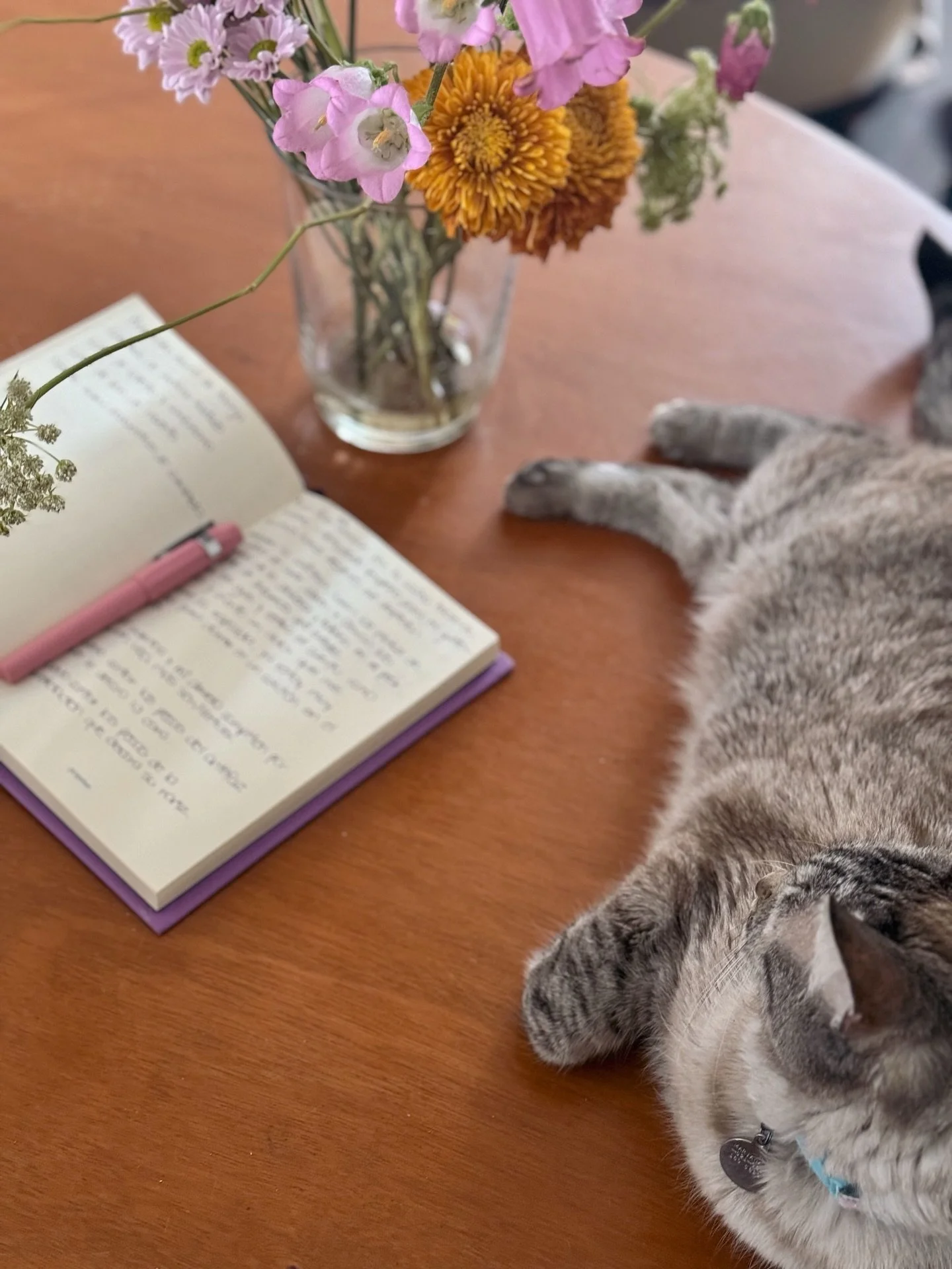 Les quiero contar algo: se me ocurri&oacute; la loca idea de volver al papel y pluma para escribir el primer borrador de mi pr&oacute;ximo proyecto. 

Esta libreta ser&aacute; testigo y guardiana de mi nueva historia. &iquest;Cu&aacute;nto me voy a t