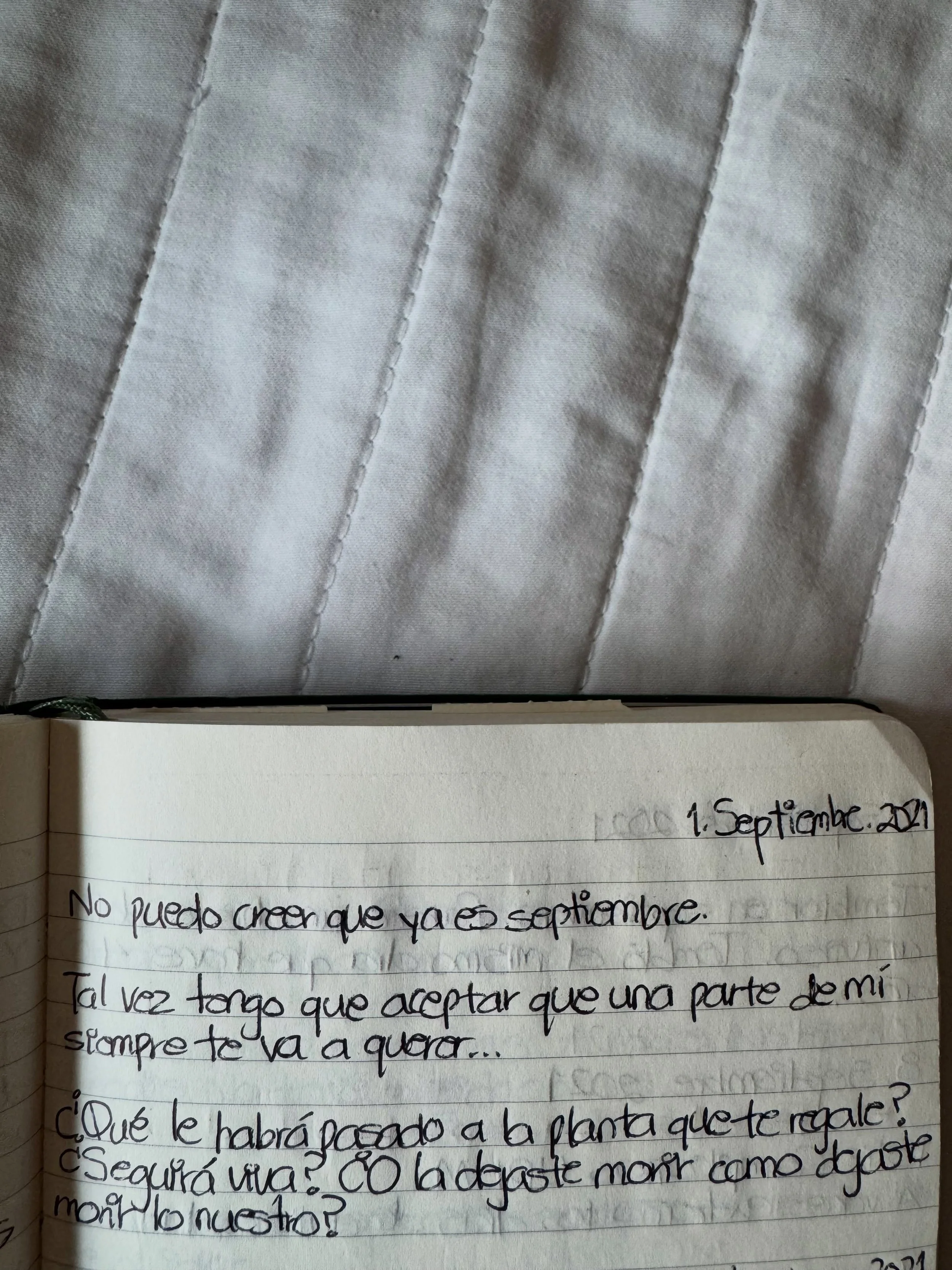 Un septiembre en lo que parece otra vida (2021, en plena pandemia, s&iacute; fue otra vida) ten&iacute;a el coraz&oacute;n un poquito roto escrib&iacute; en mi libreta una pregunta que no sab&iacute;a que se convertir&iacute;a en algo m&aacute;s&hell