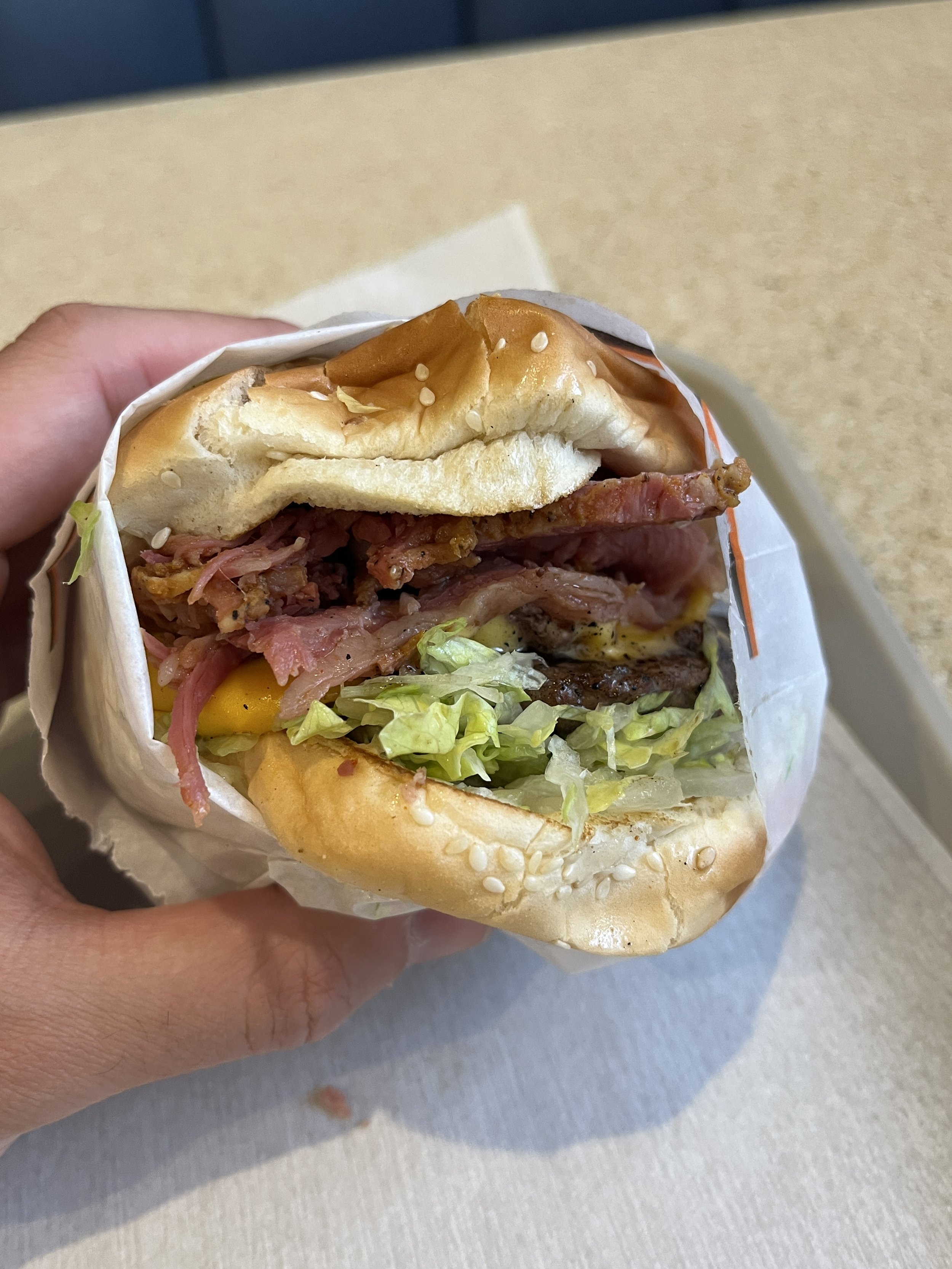 The Famous Pastrami Burger