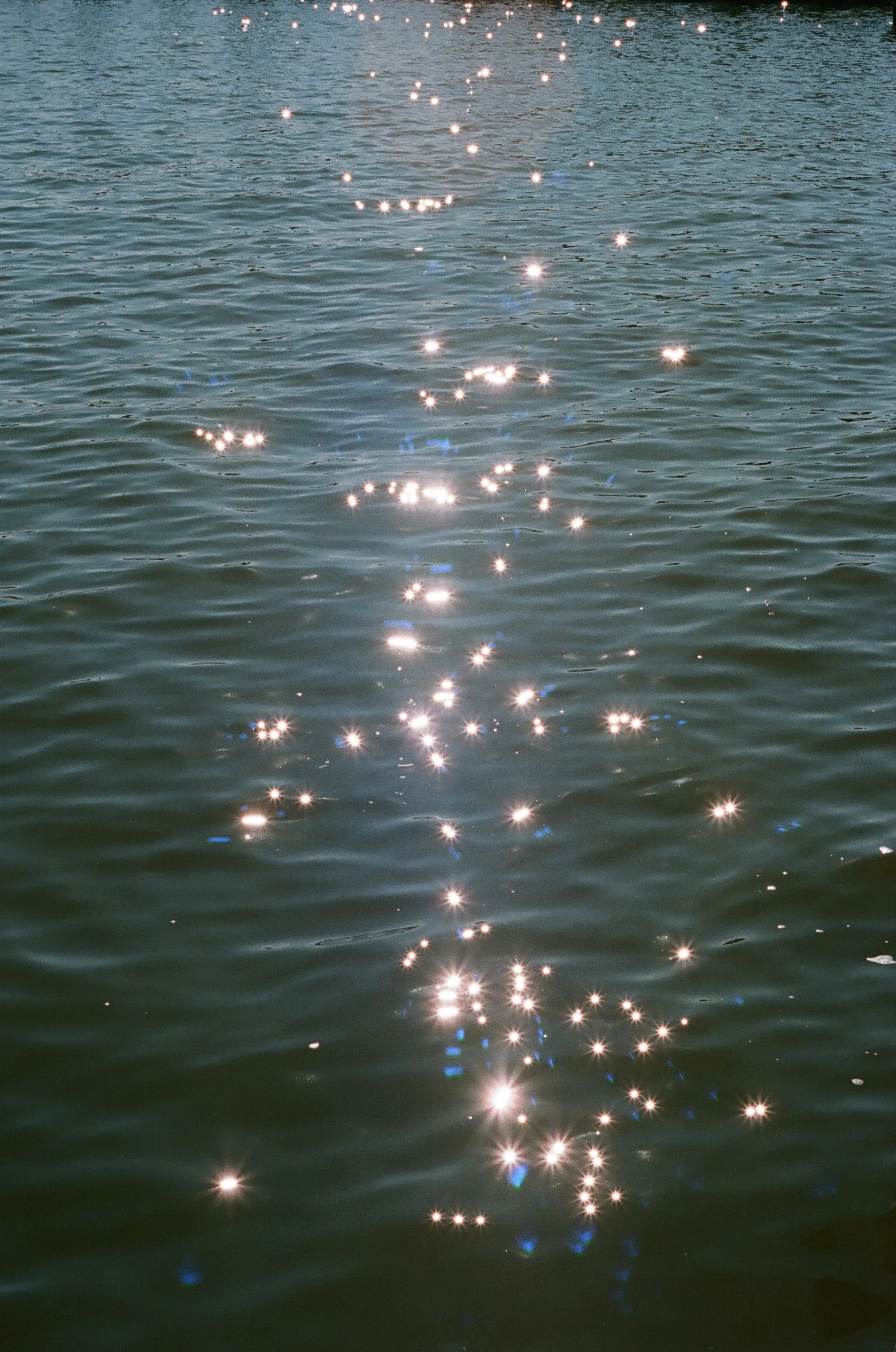 54278668845_564a90a6ba_o.jpg