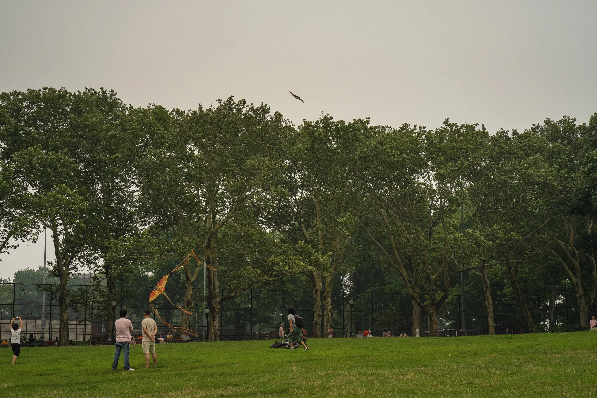 DSC07539.jpg