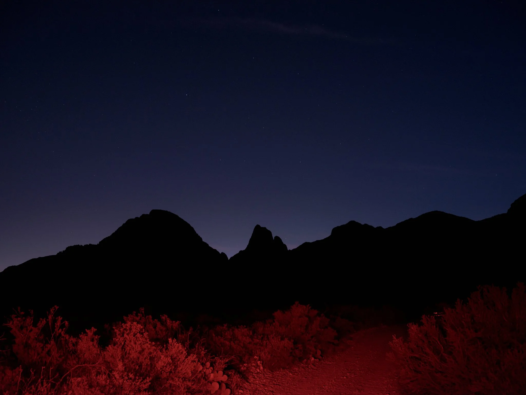 2023_WILDSAM-BIG-BEND_659.jpg