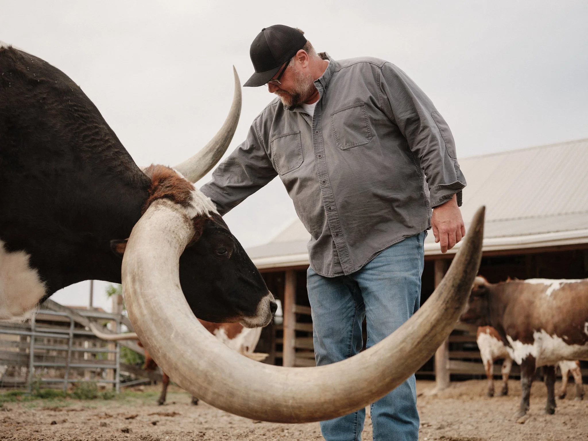 4029896_041725_0238 1.jpg