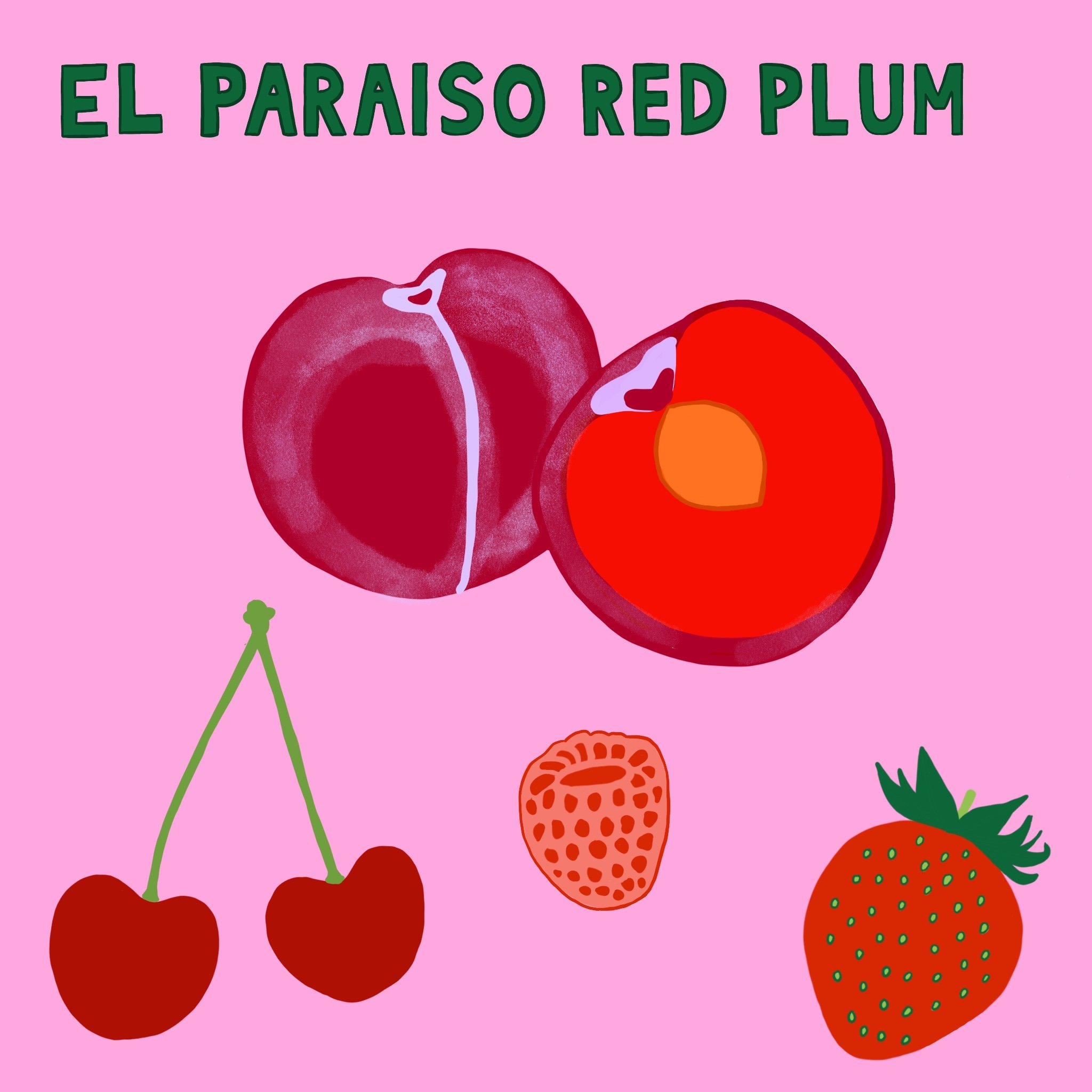 Red_Plum.jpg