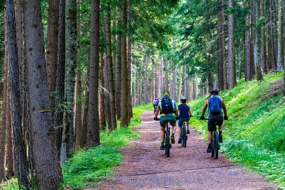 mountain biking.jpg