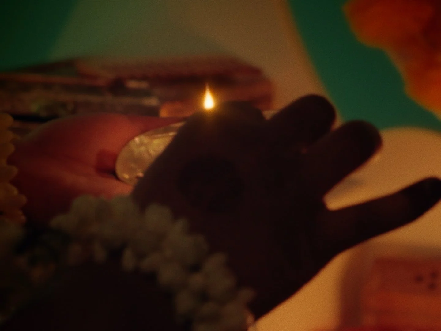 Still 2026-02-20 192214_1.35.1.JPG