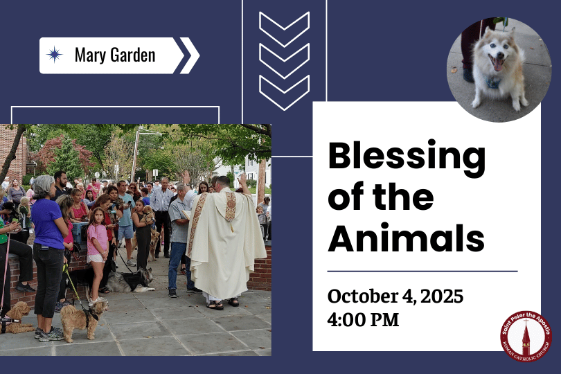 Blessing of the Animals