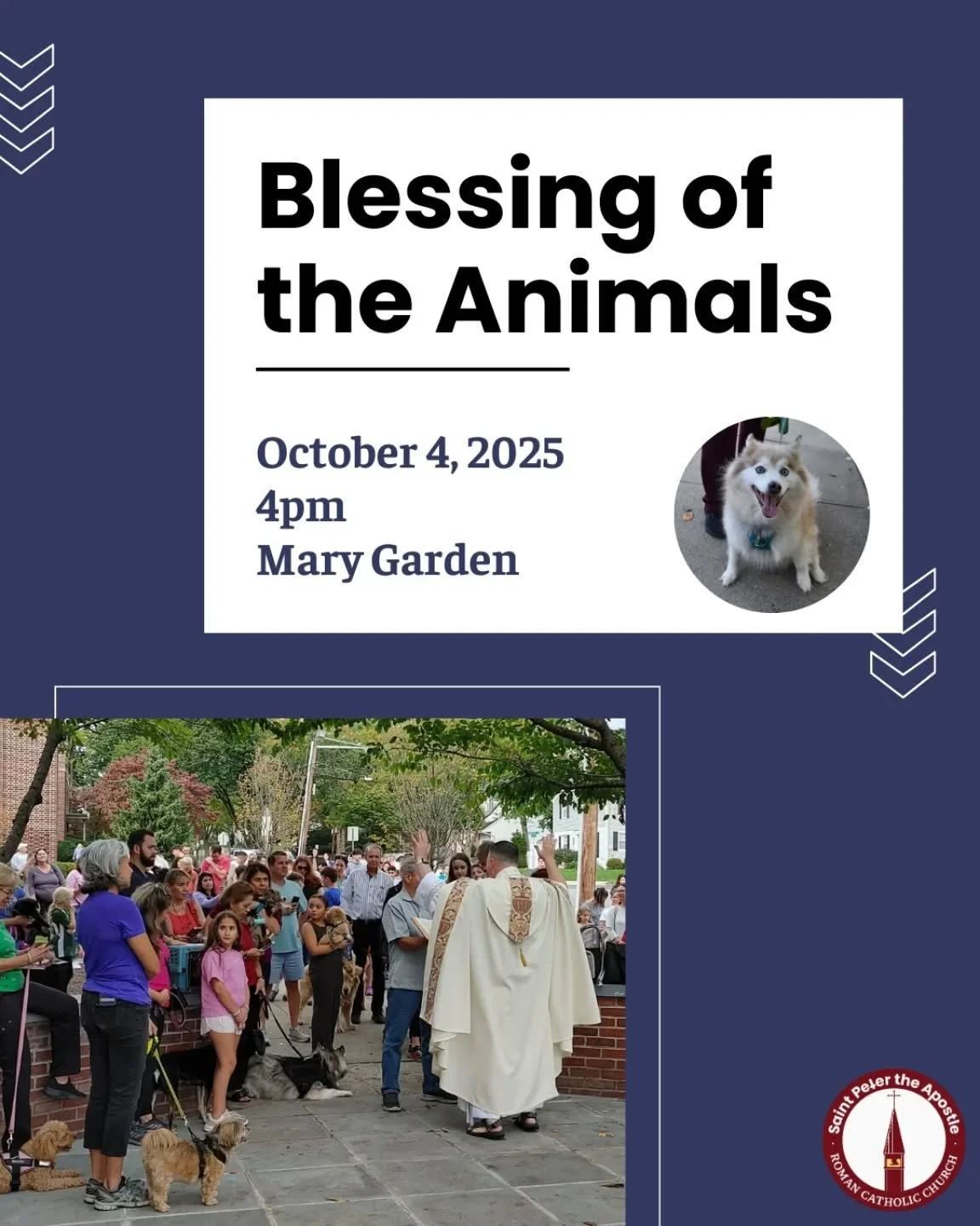 🐾✨ Celebrate the Feast of St. Francis of Assisi with us at our annual Blessing of the Animals! Bring your furry, feathered, or scaly friends for a special blessing 🐶🐱🐦

📅 Saturday, Oct. 4
⏰ 4:00 PM
📍 Mary Garden (in front of the church)

All ar