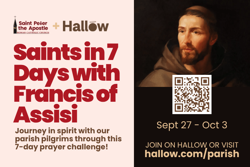 Saints in 7 Days with Francis of Assisi (Hallow Prayer Challenge)