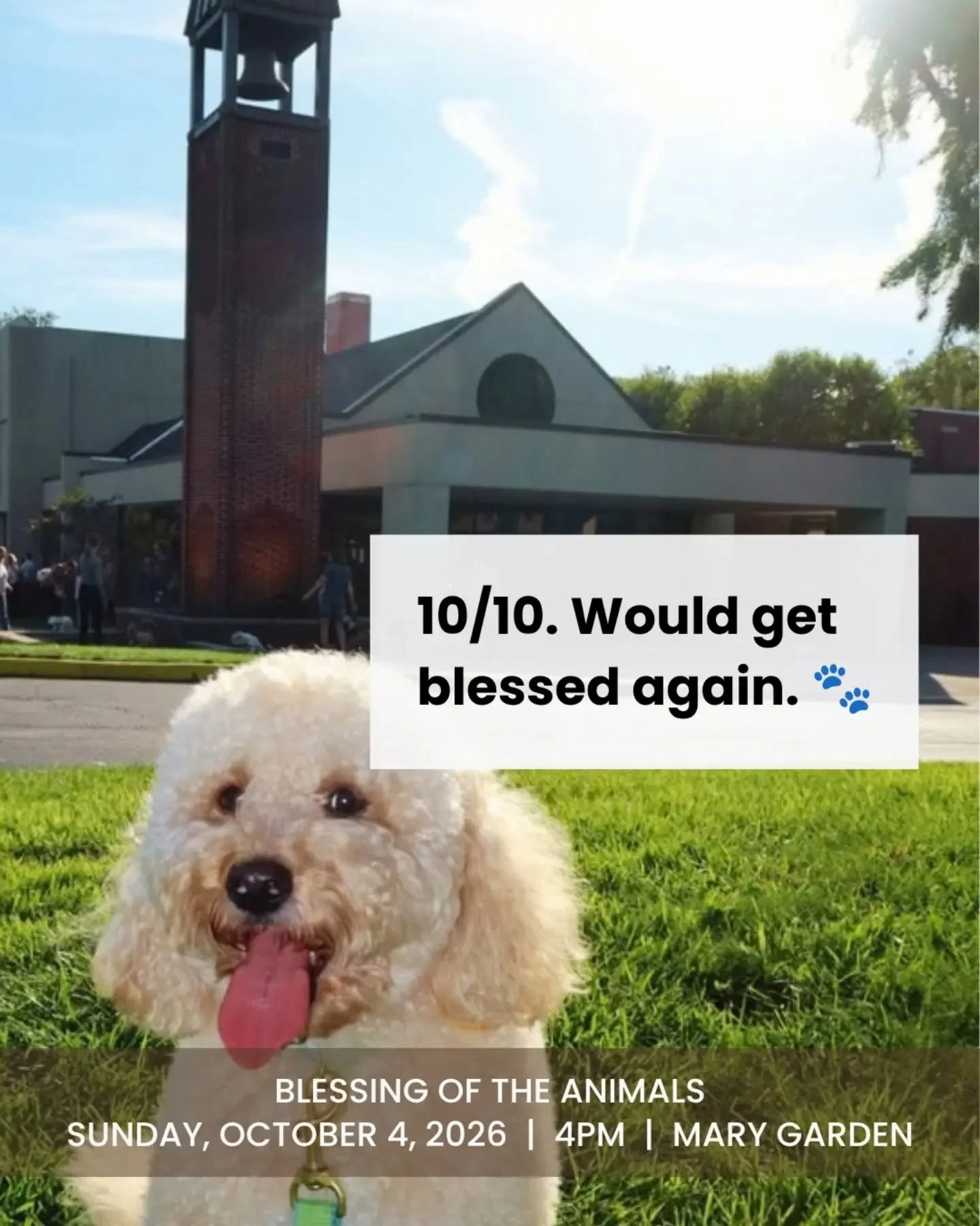 Bring your furry, four-legged, or scaly friends! Our annual Blessing of the Animals will be held on Sunday, October 4 at 4:00 PM in the Mary Garden, in celebration of the Feast of St. Francis of Assisi. All are welcome to bring their pets for a short