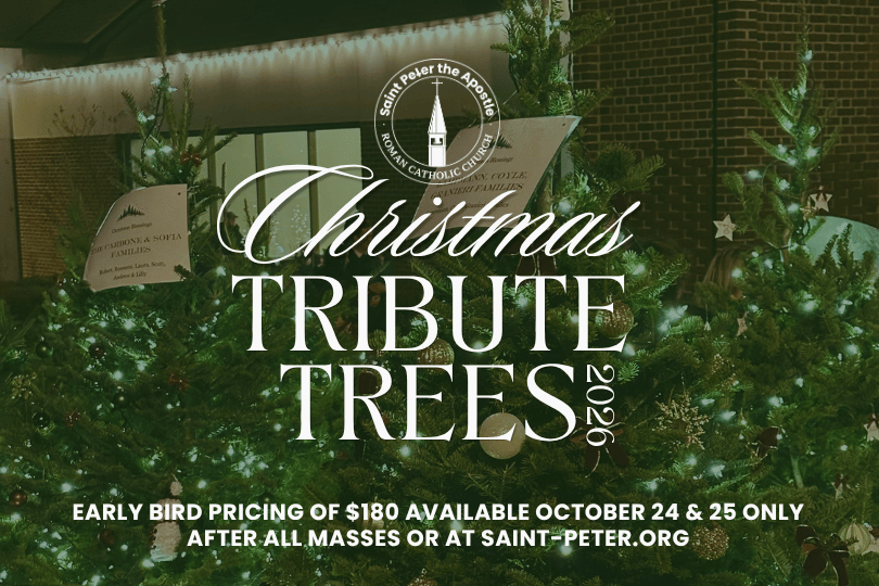 St. Peter's Christmas Tribute Trees 2026: Early Bird Sale
