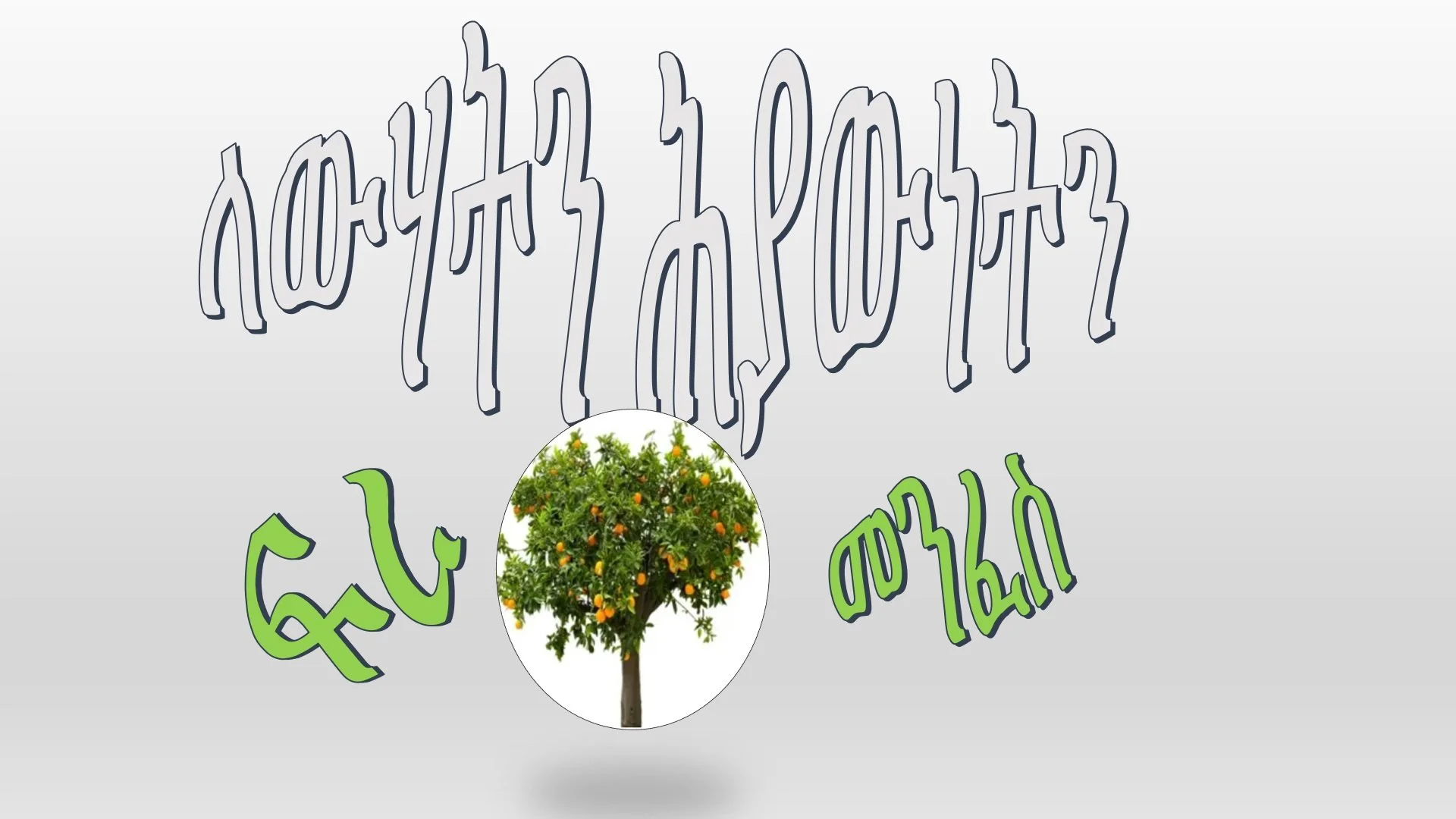 ጾመ ፍረታት፡ ለውሃትን ሕያውነትን