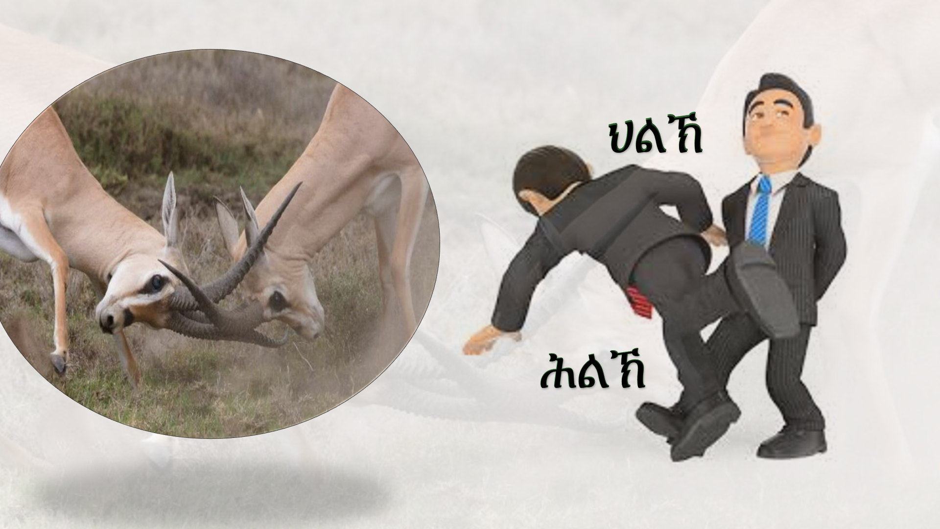 ሕልኽን ህልኽን