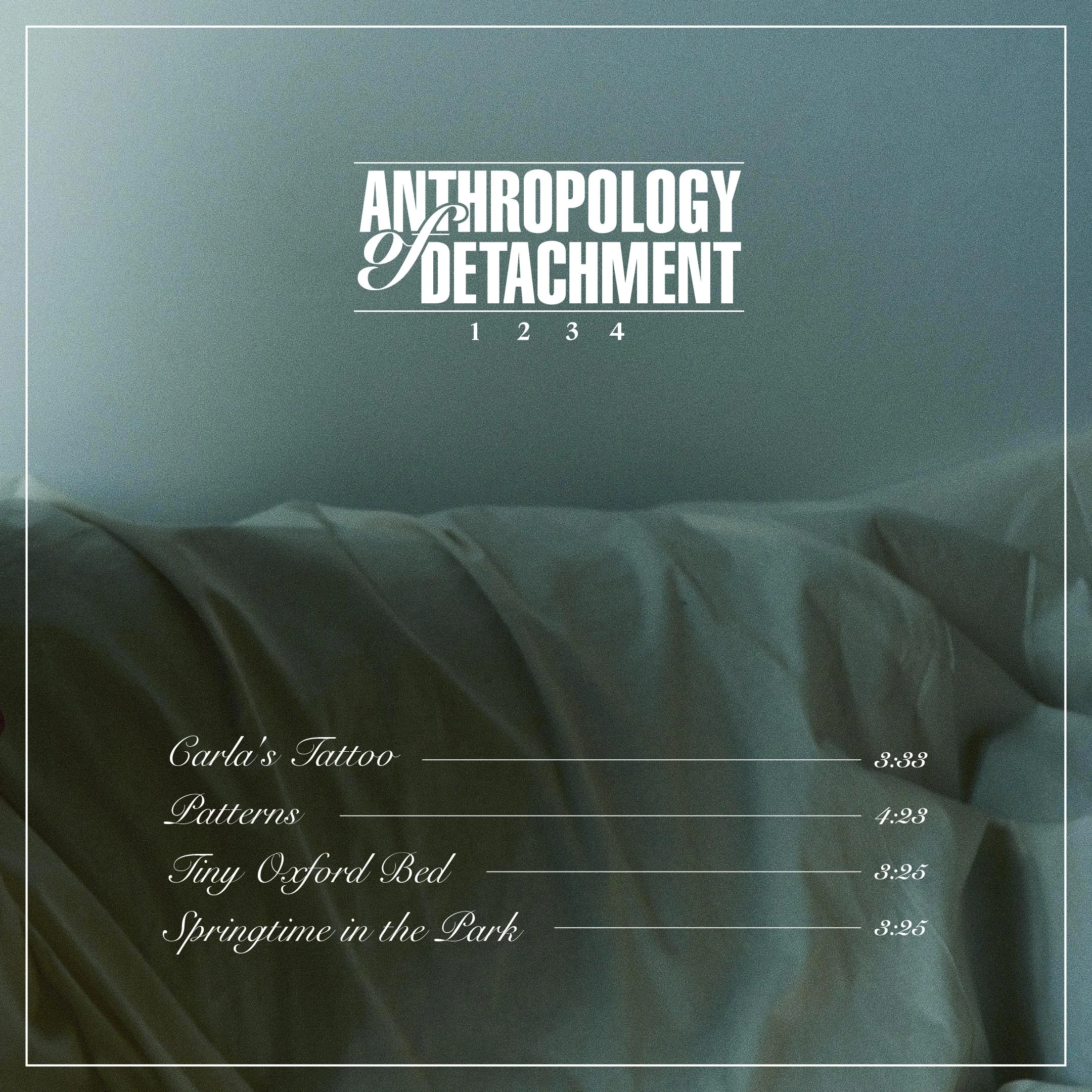 anthropology of detachment- back cover ig.jpg