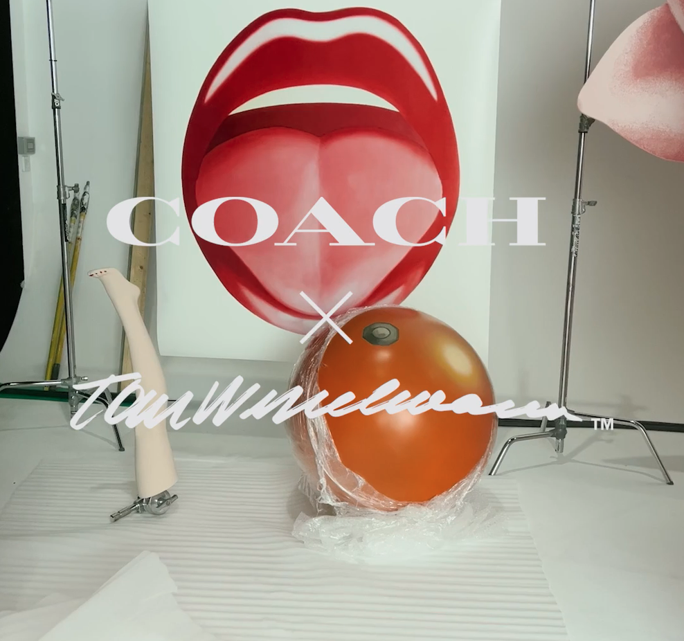 COACH x TOM WESSELMANN